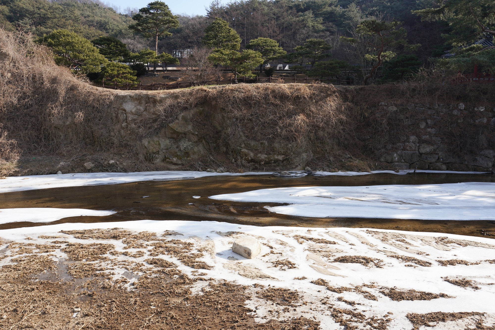 YeongJu (45)