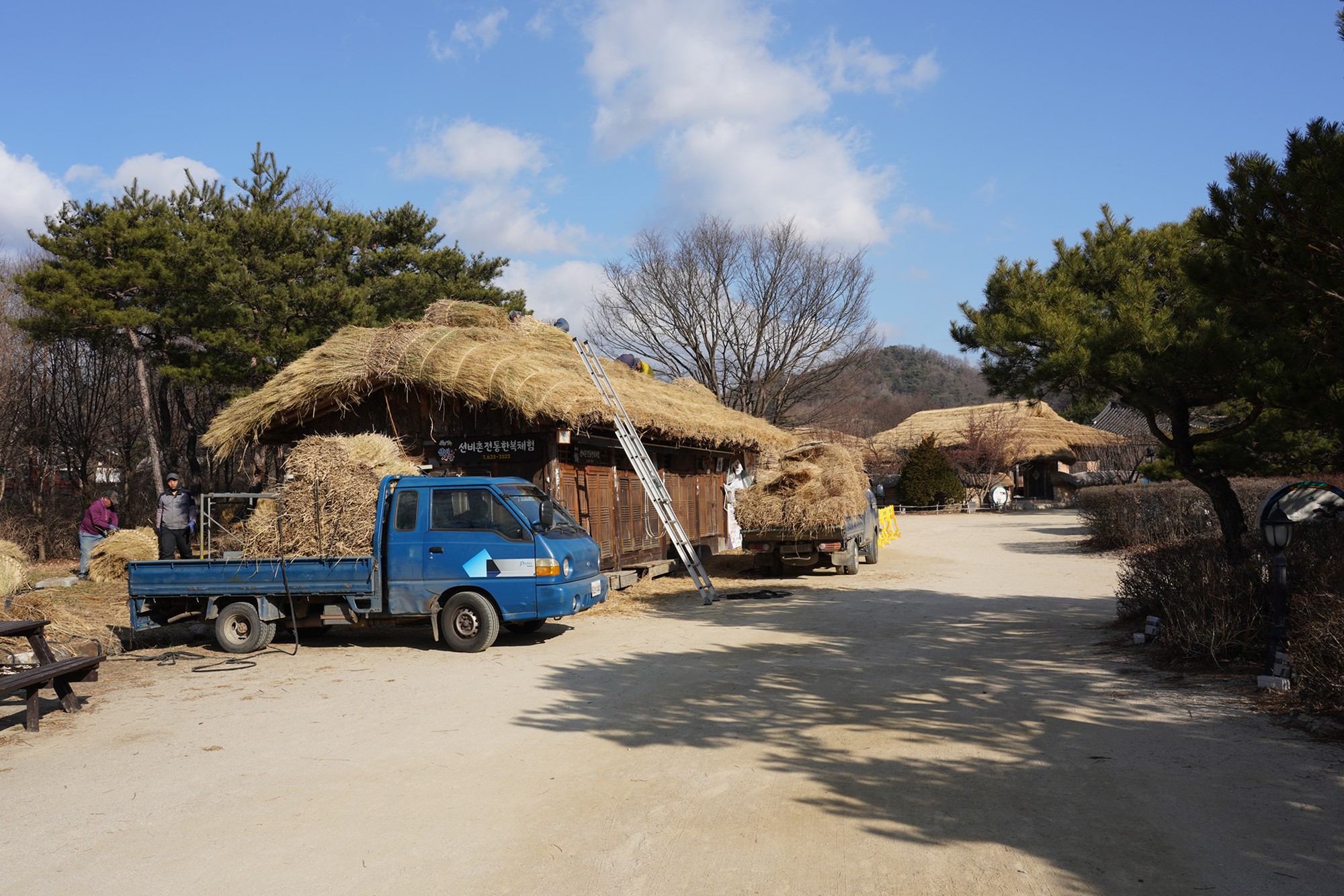 YeongJu (47)
