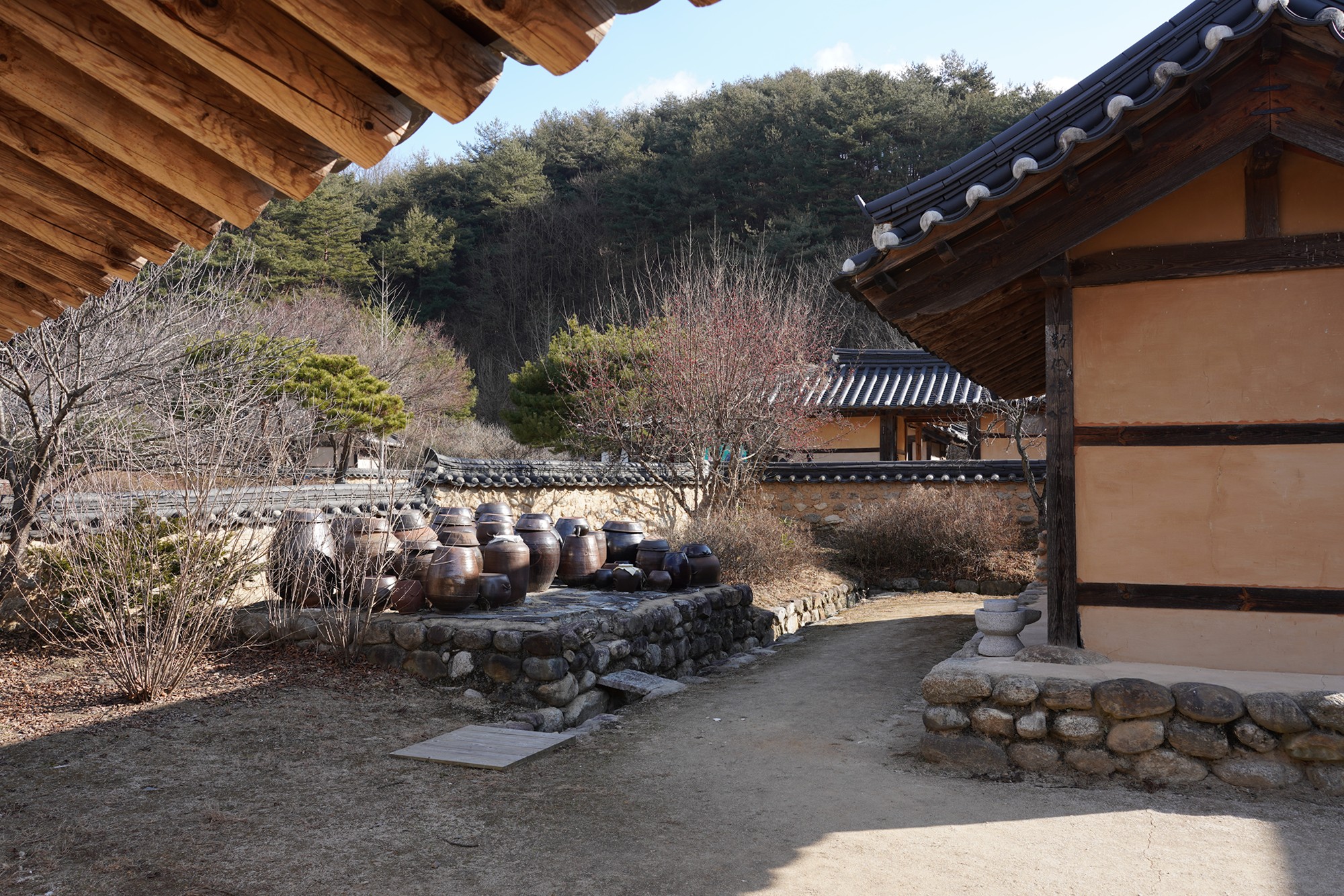 YeongJu (51)