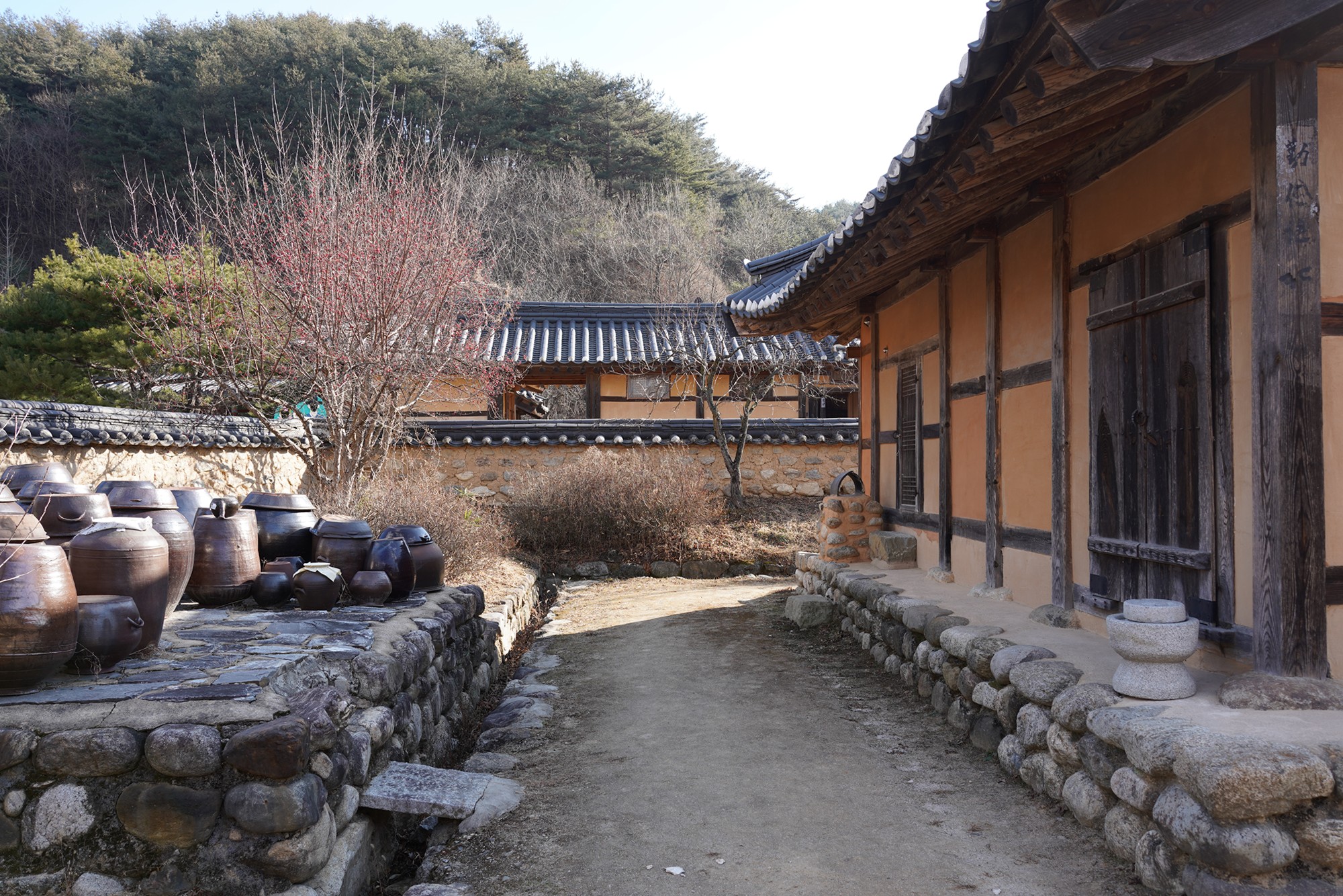 YeongJu (52)