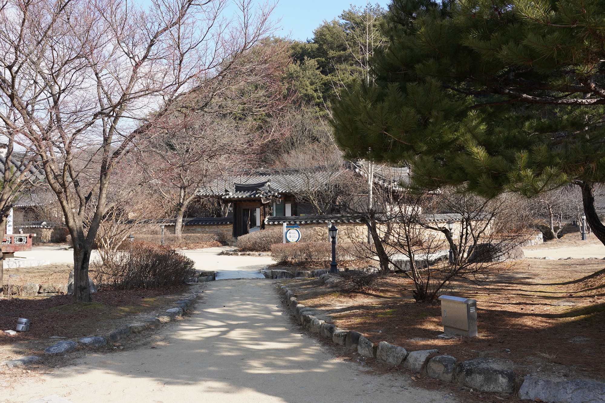 YeongJu (53)