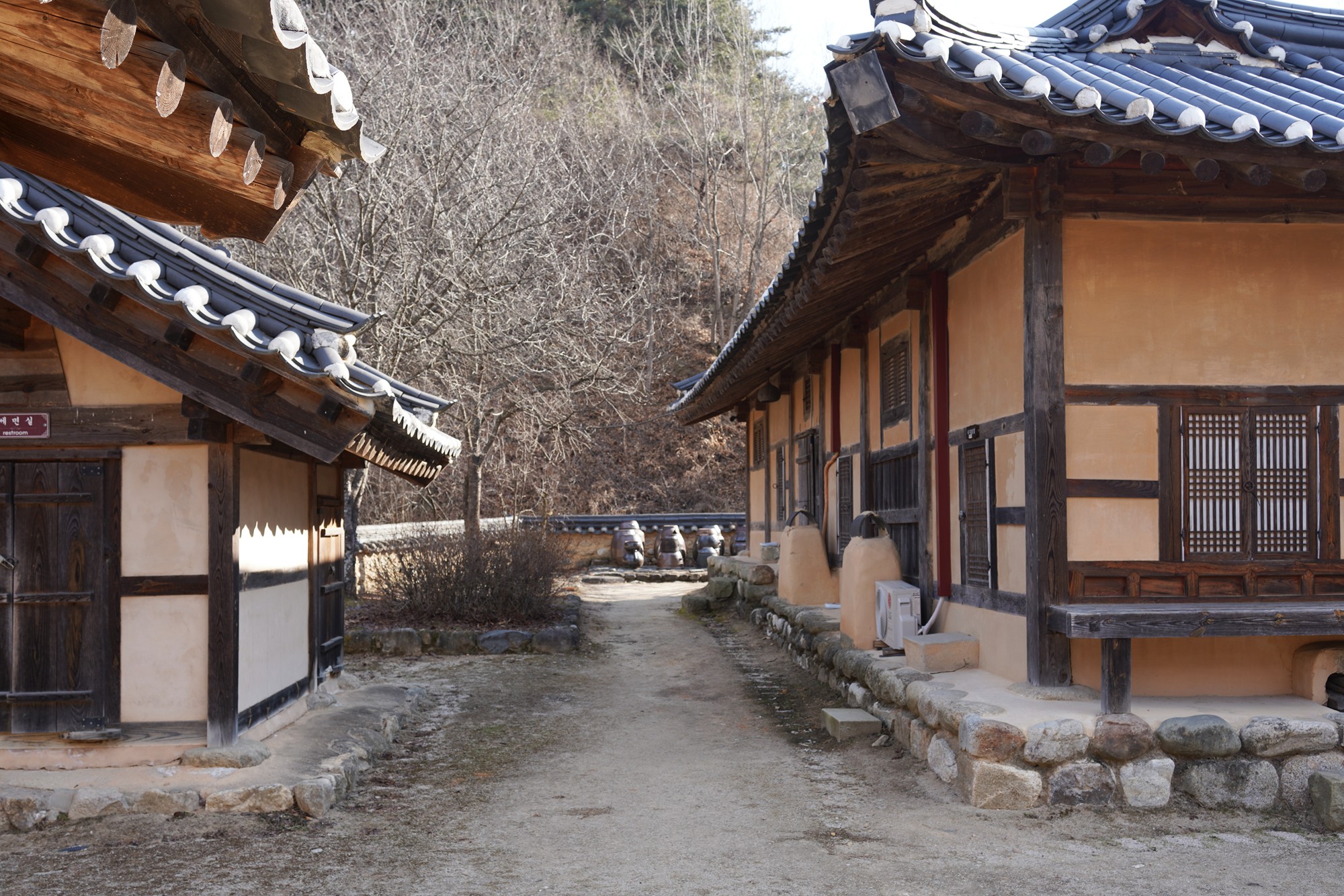 YeongJu (55)