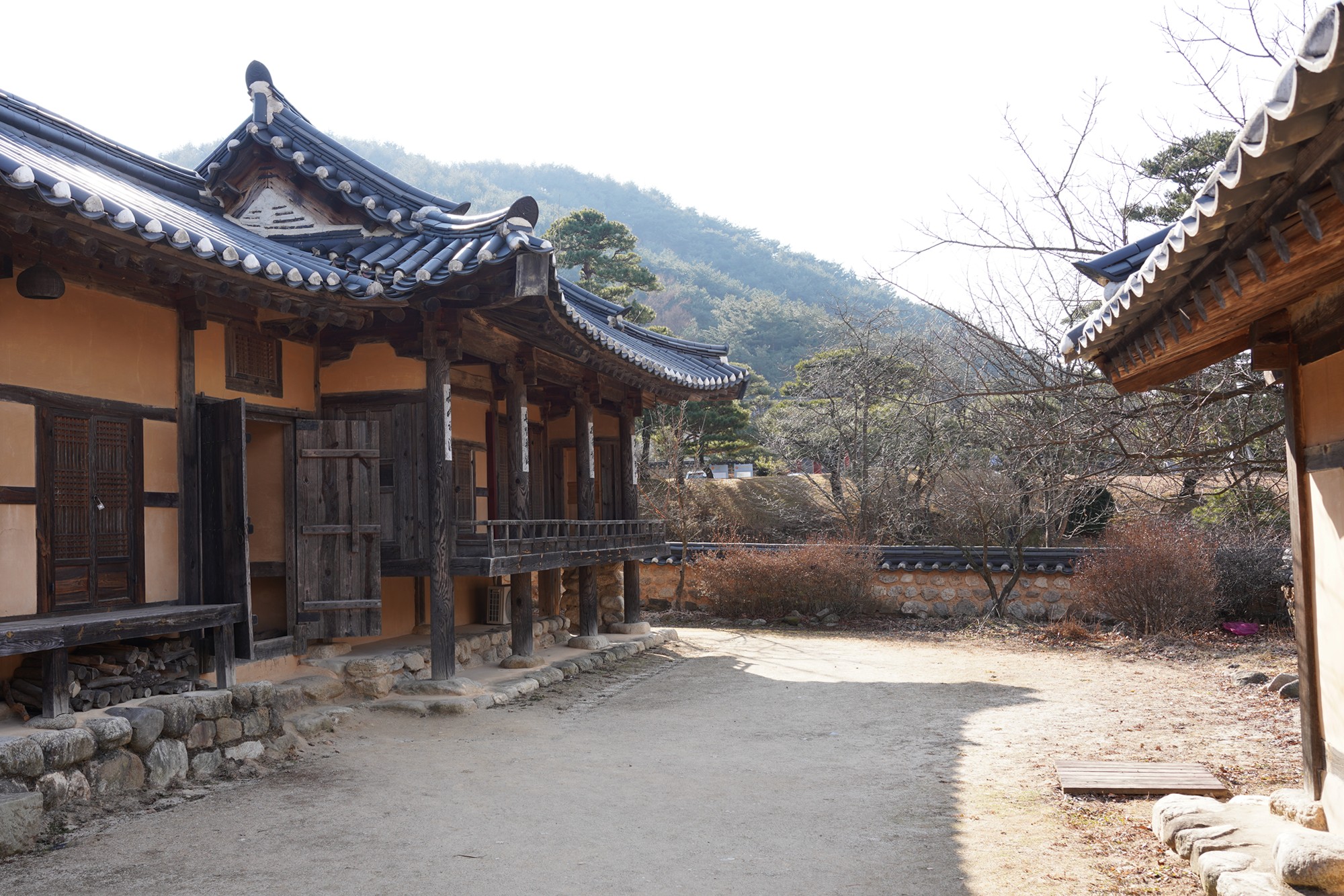 YeongJu (56)