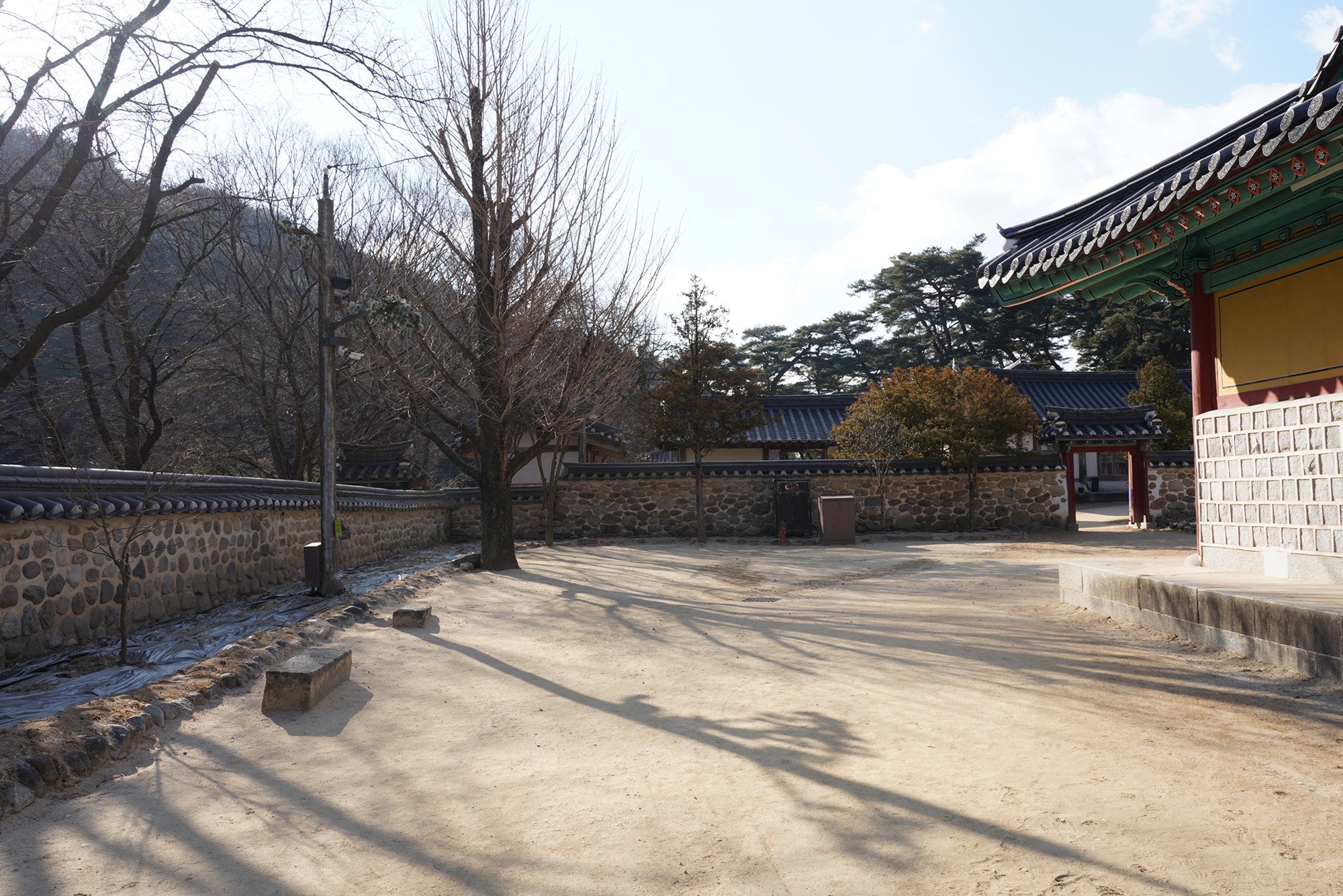 YeongJu (6)