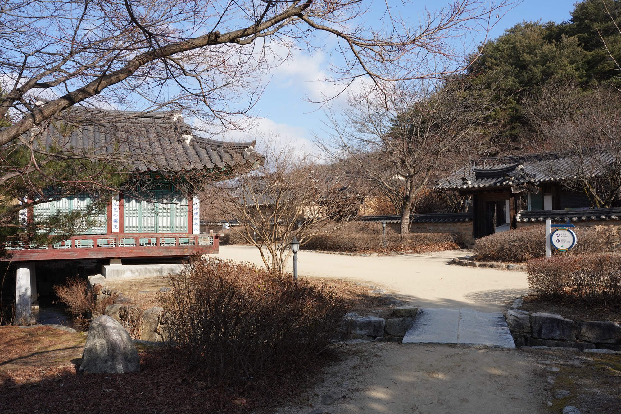 YeongJu (60)