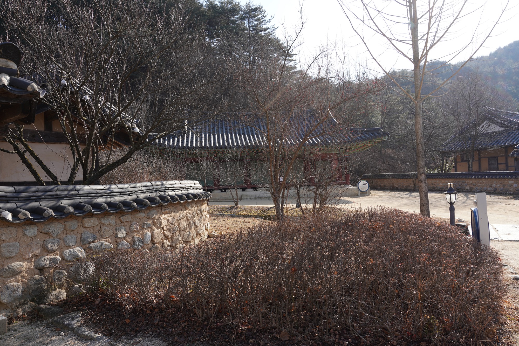 YeongJu (63)