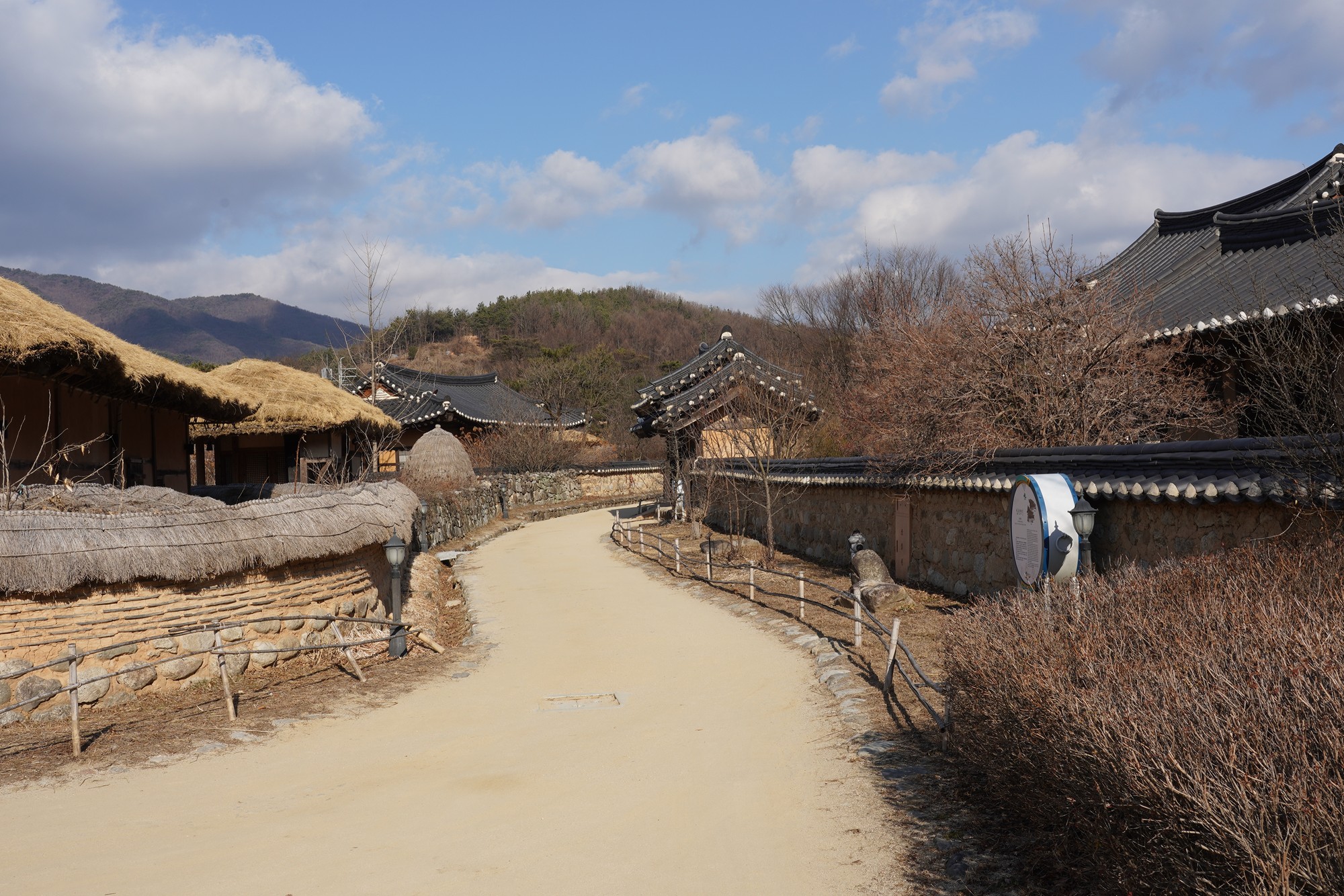 YeongJu (65)