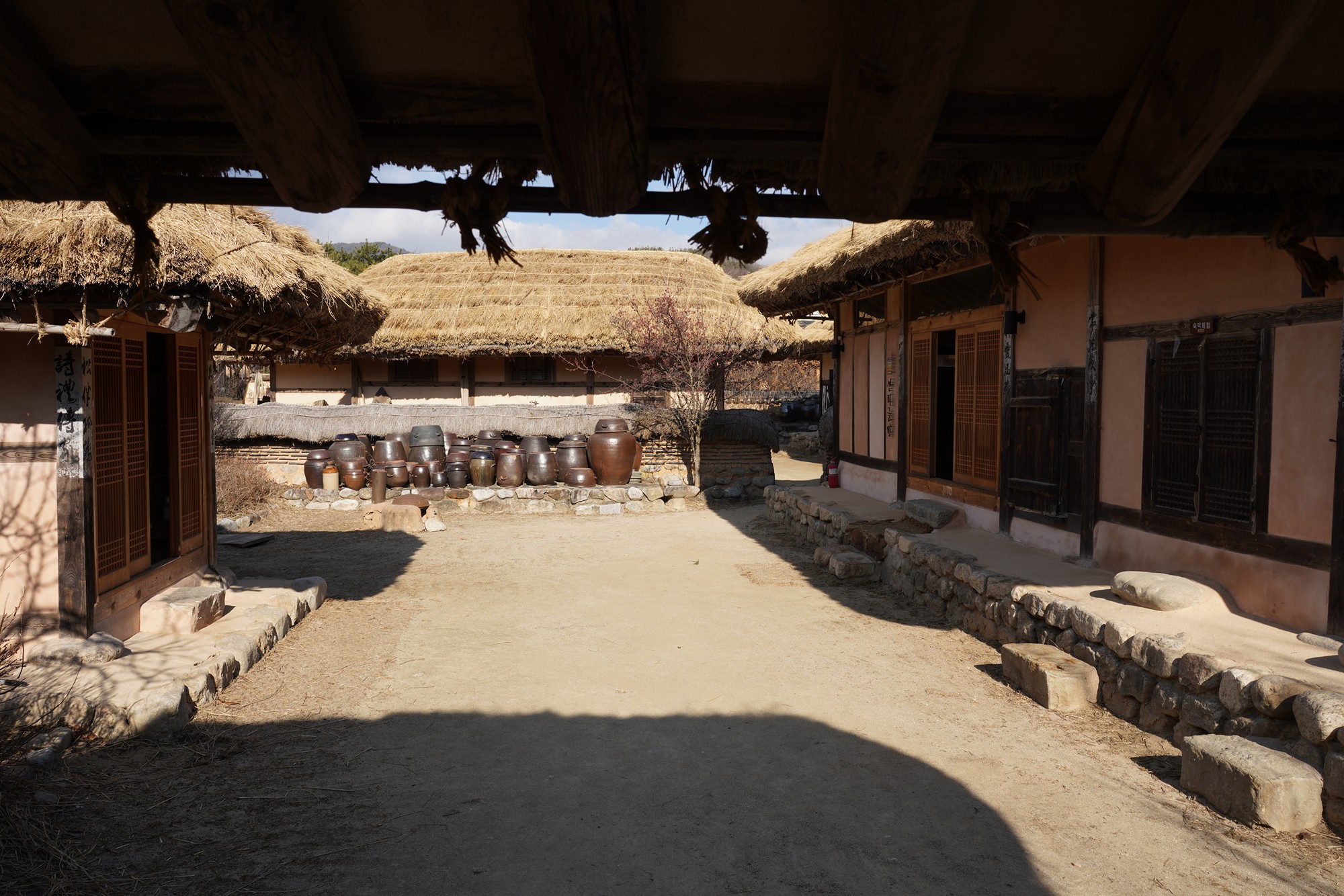 YeongJu (69)