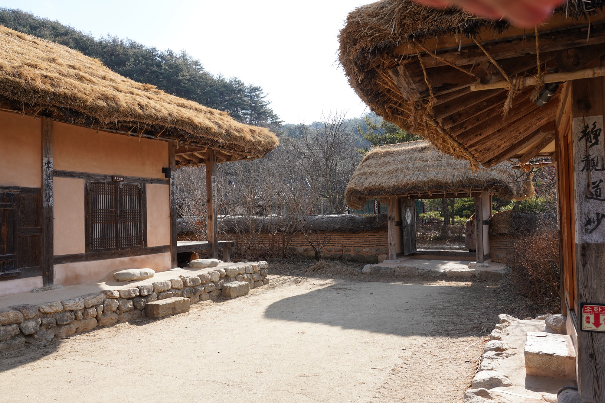 YeongJu (71)