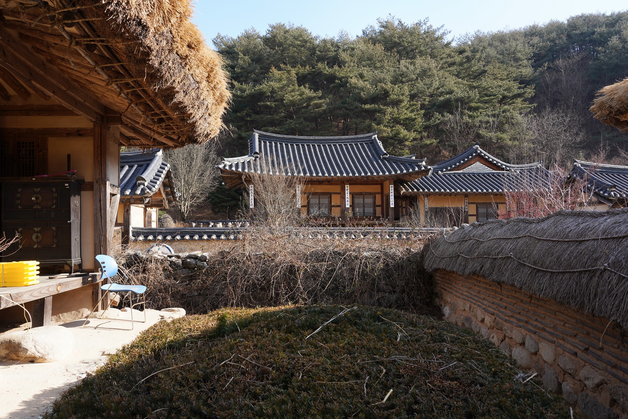 YeongJu (72)