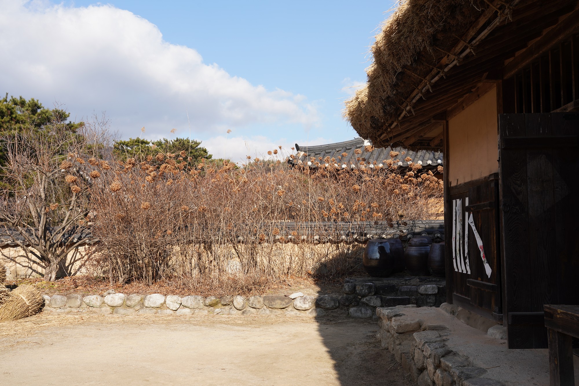 YeongJu (73)