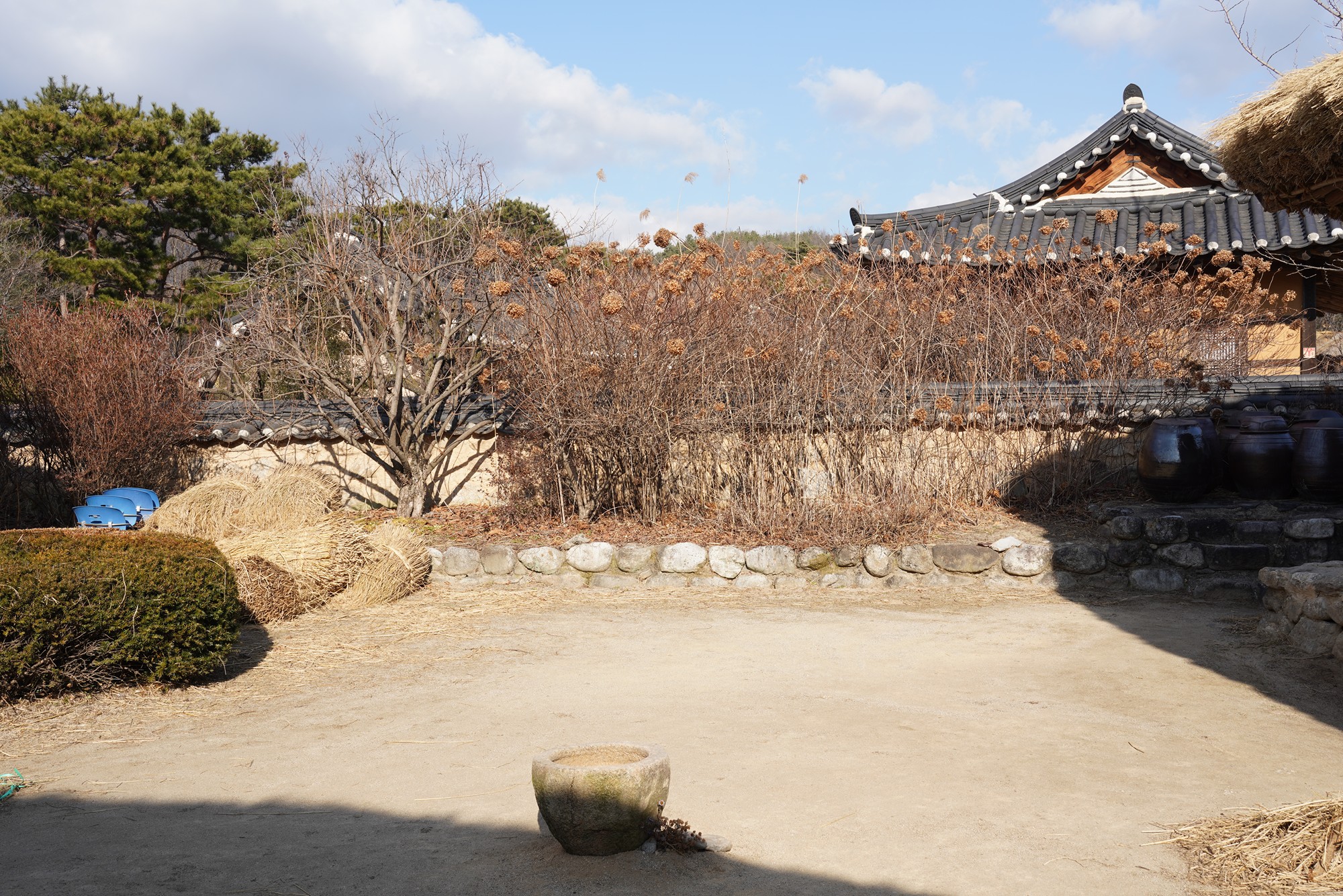 YeongJu (74)