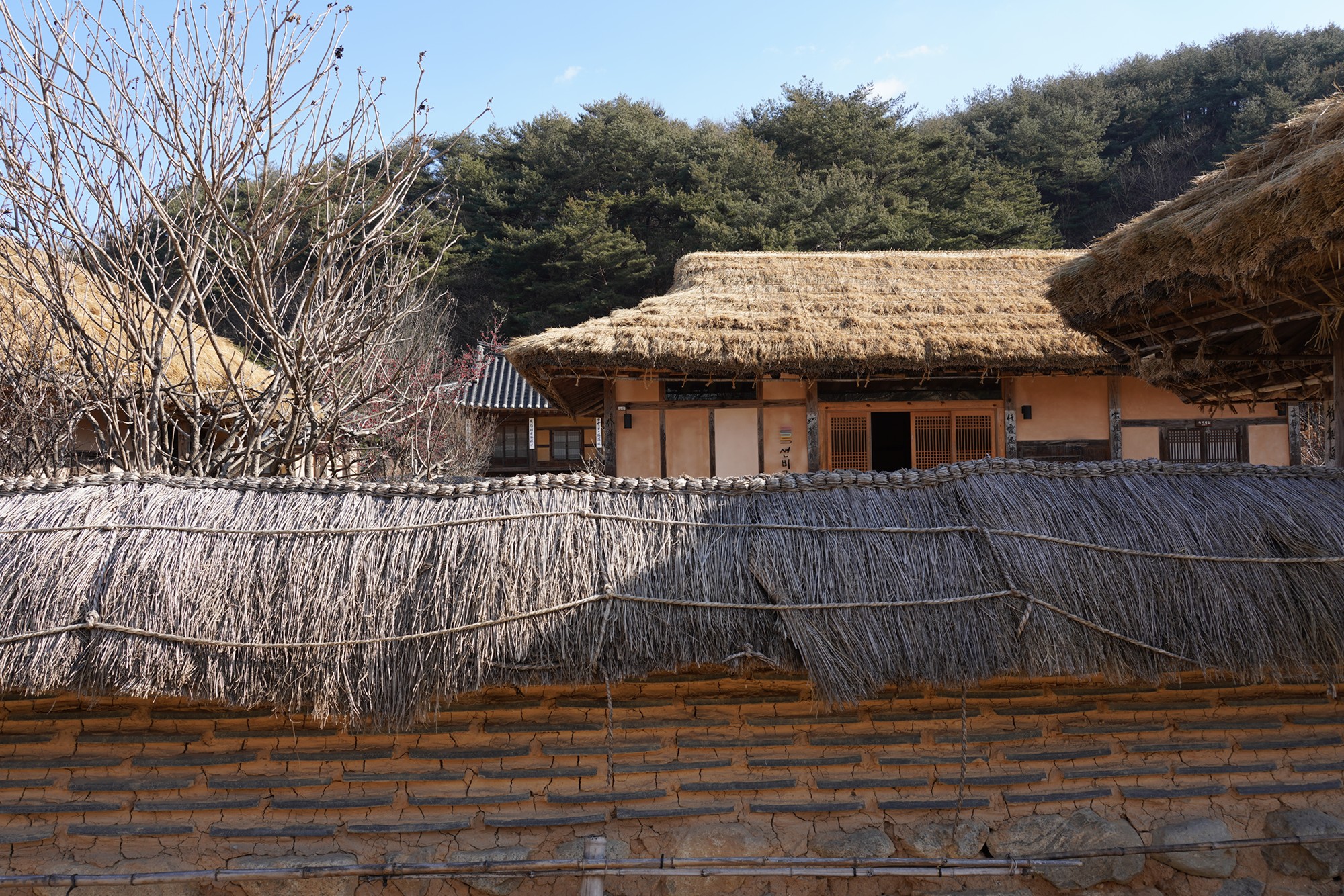 YeongJu (75)