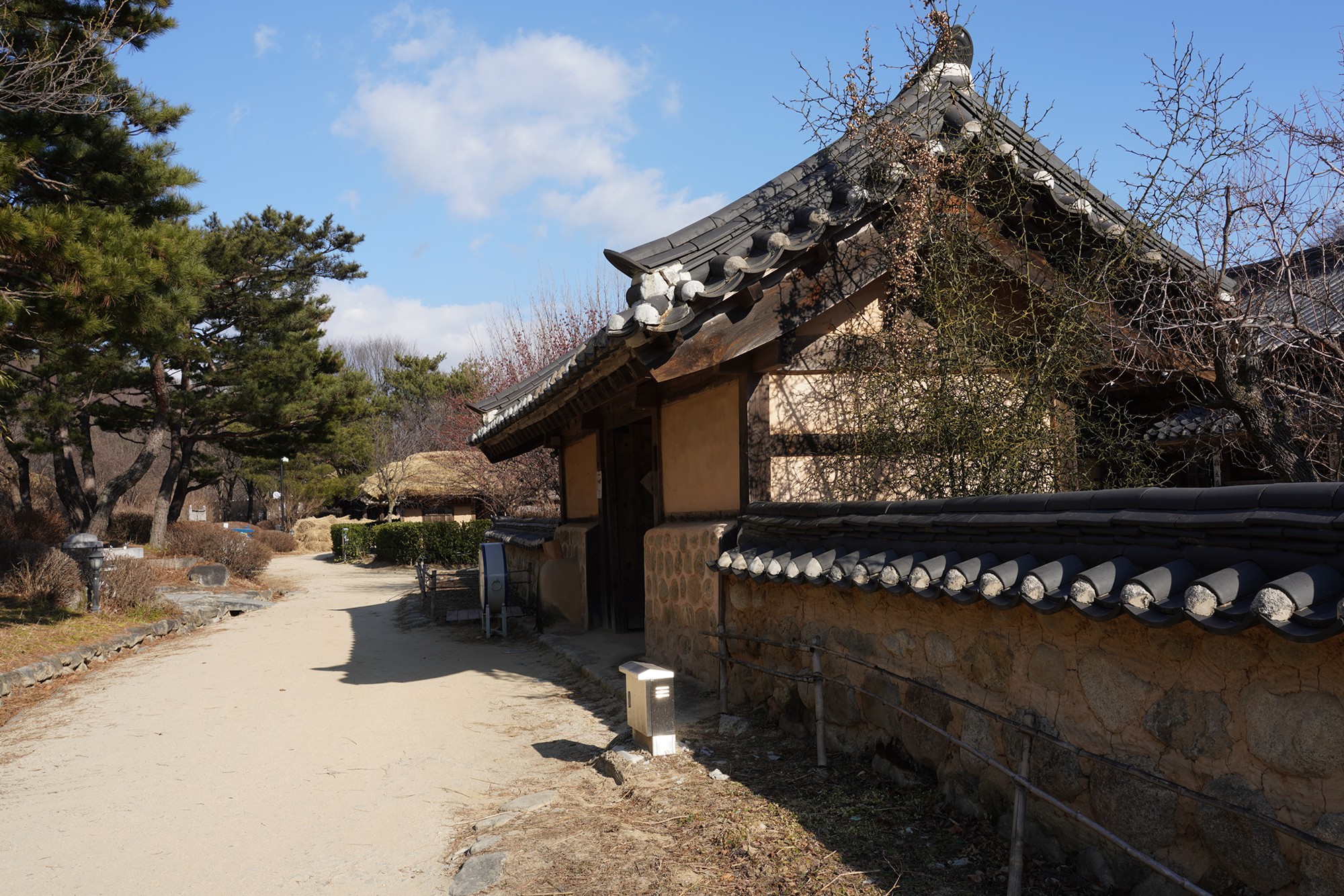 YeongJu (76)