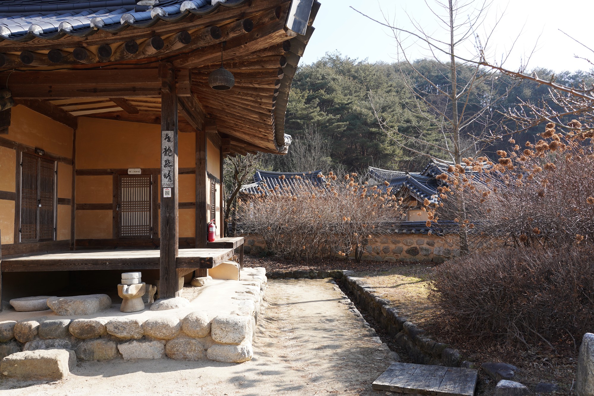 YeongJu (78)