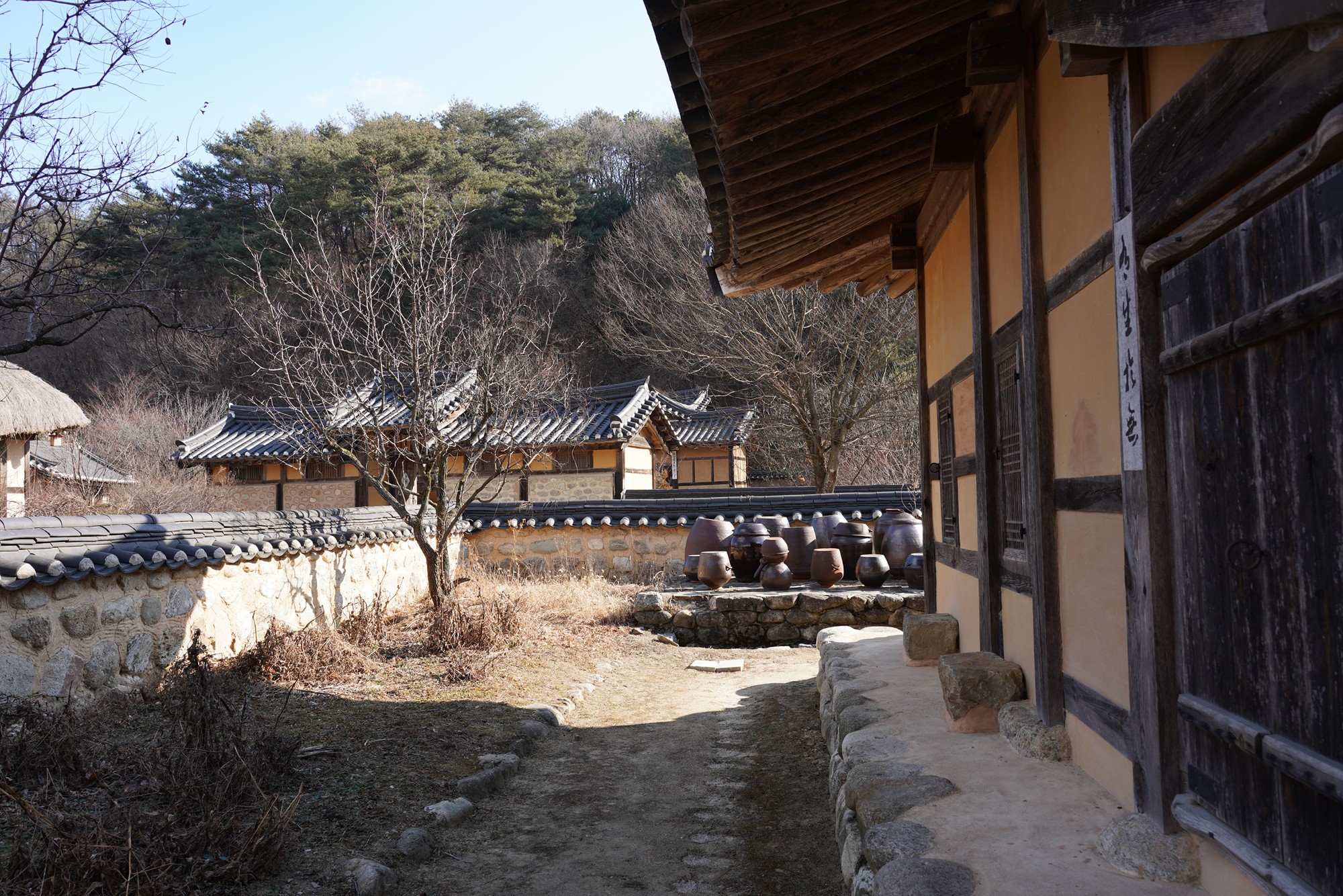 YeongJu (80)