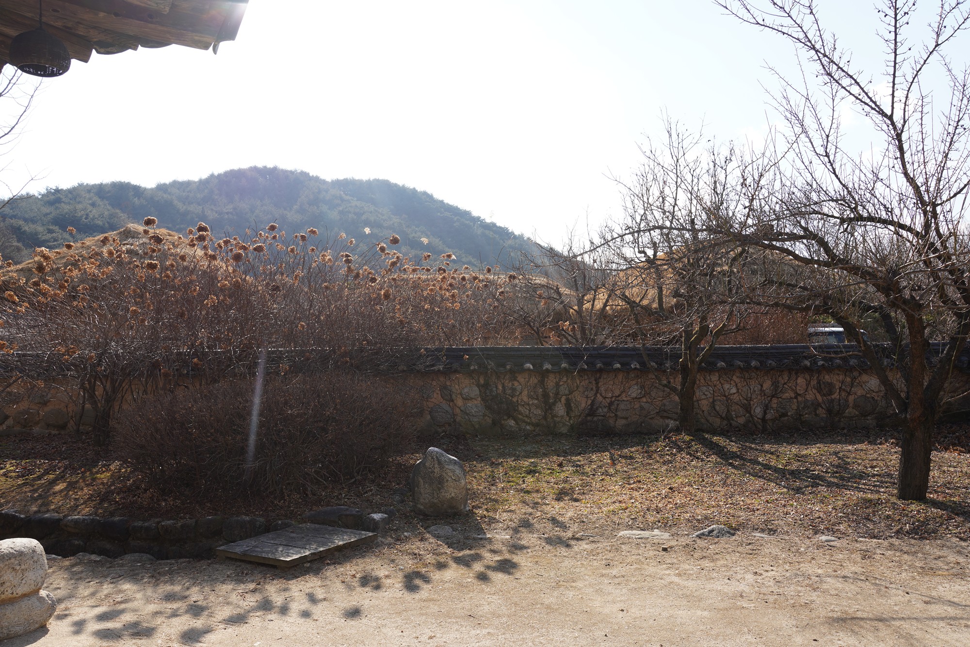 YeongJu (81)