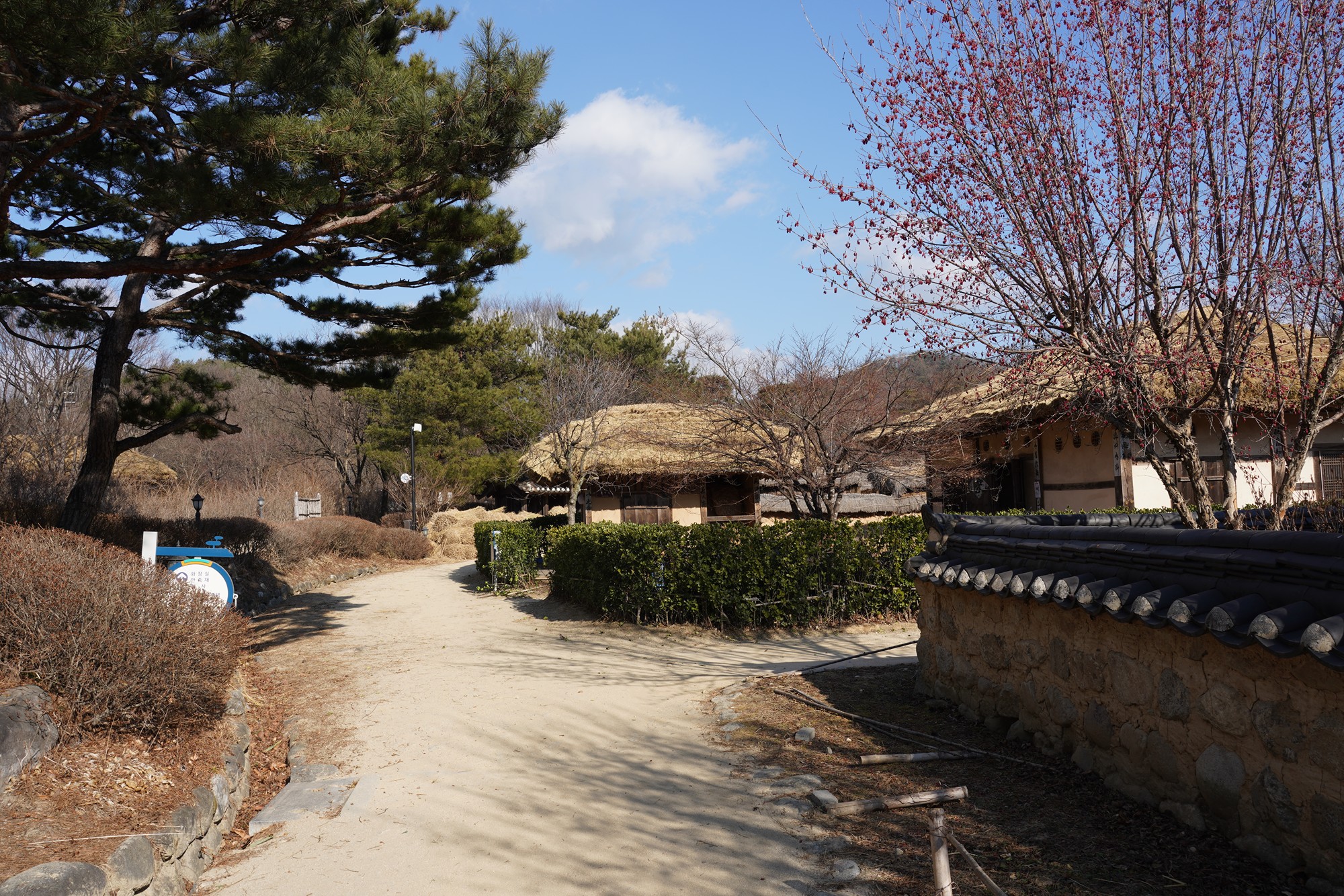 YeongJu (82)