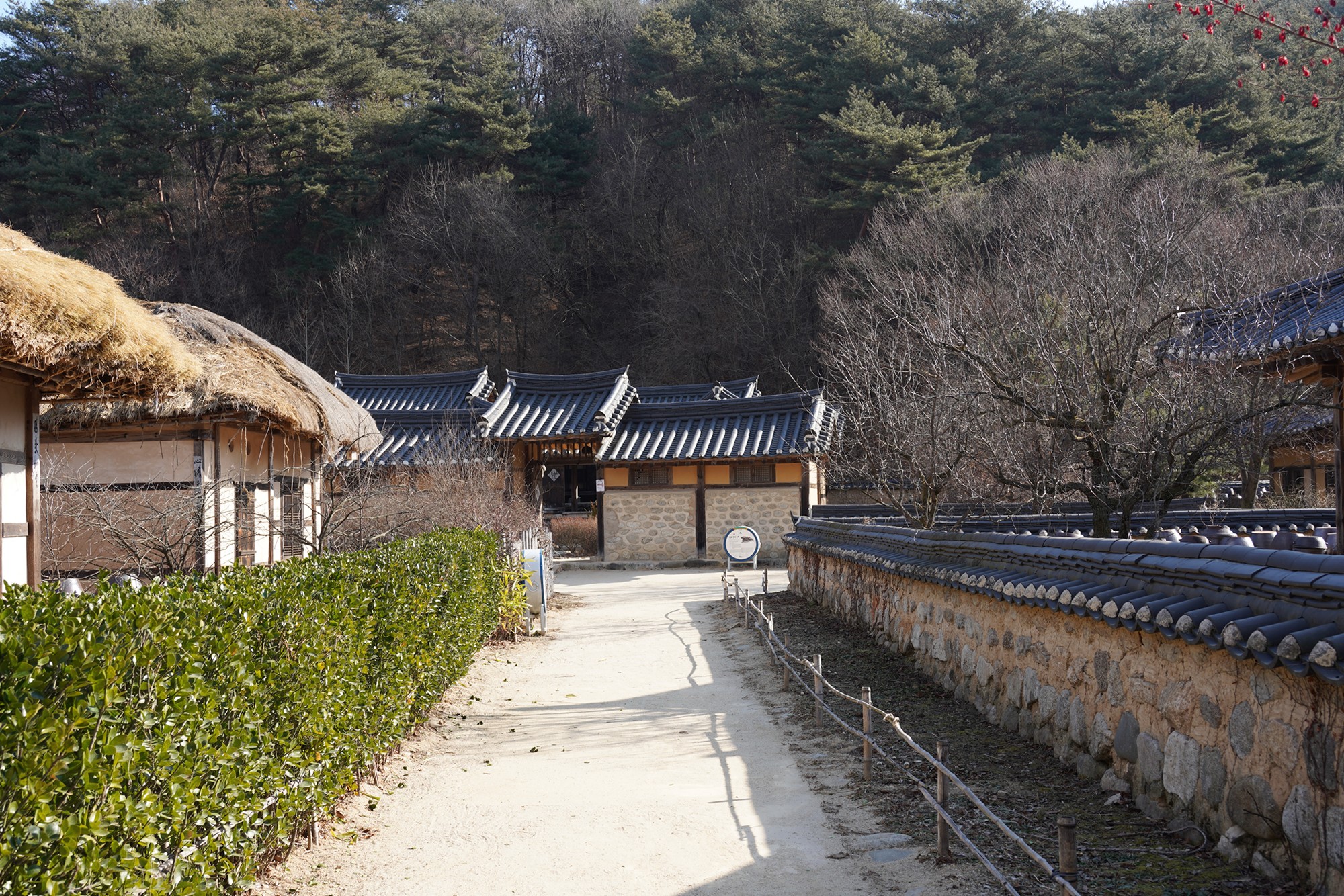 YeongJu (83)