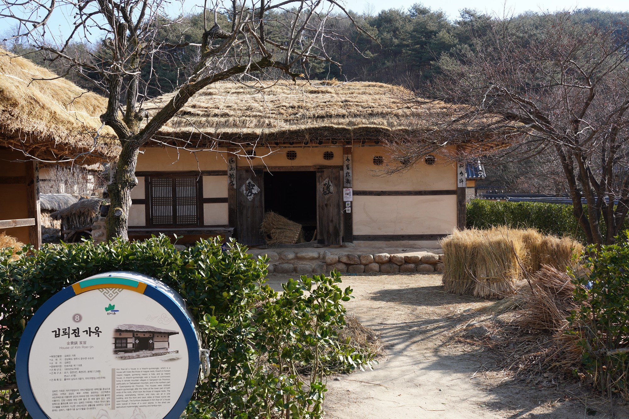 YeongJu (85)