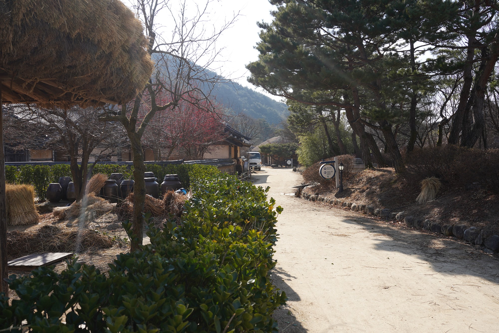 YeongJu (86)