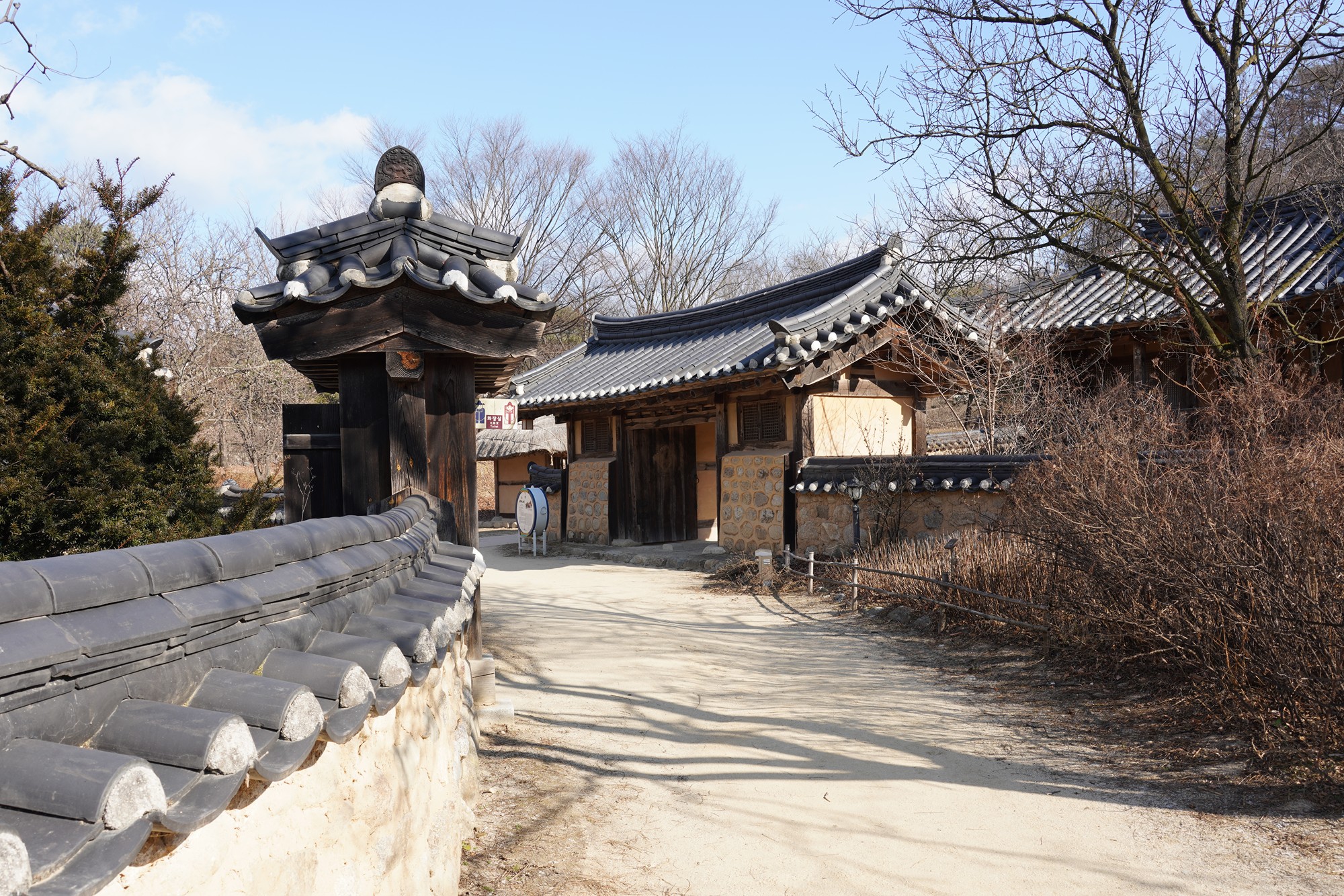 YeongJu (89)