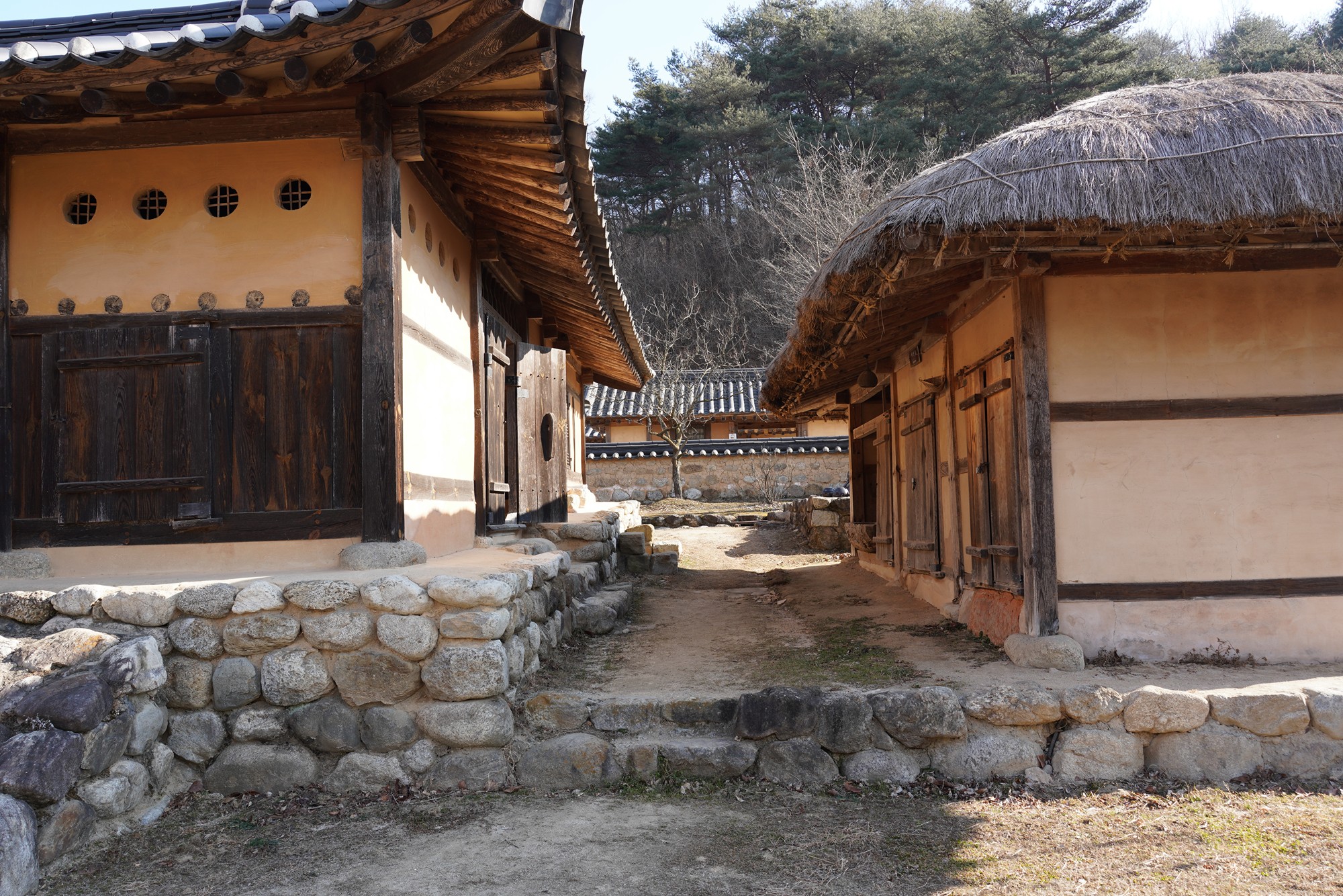 YeongJu (93)