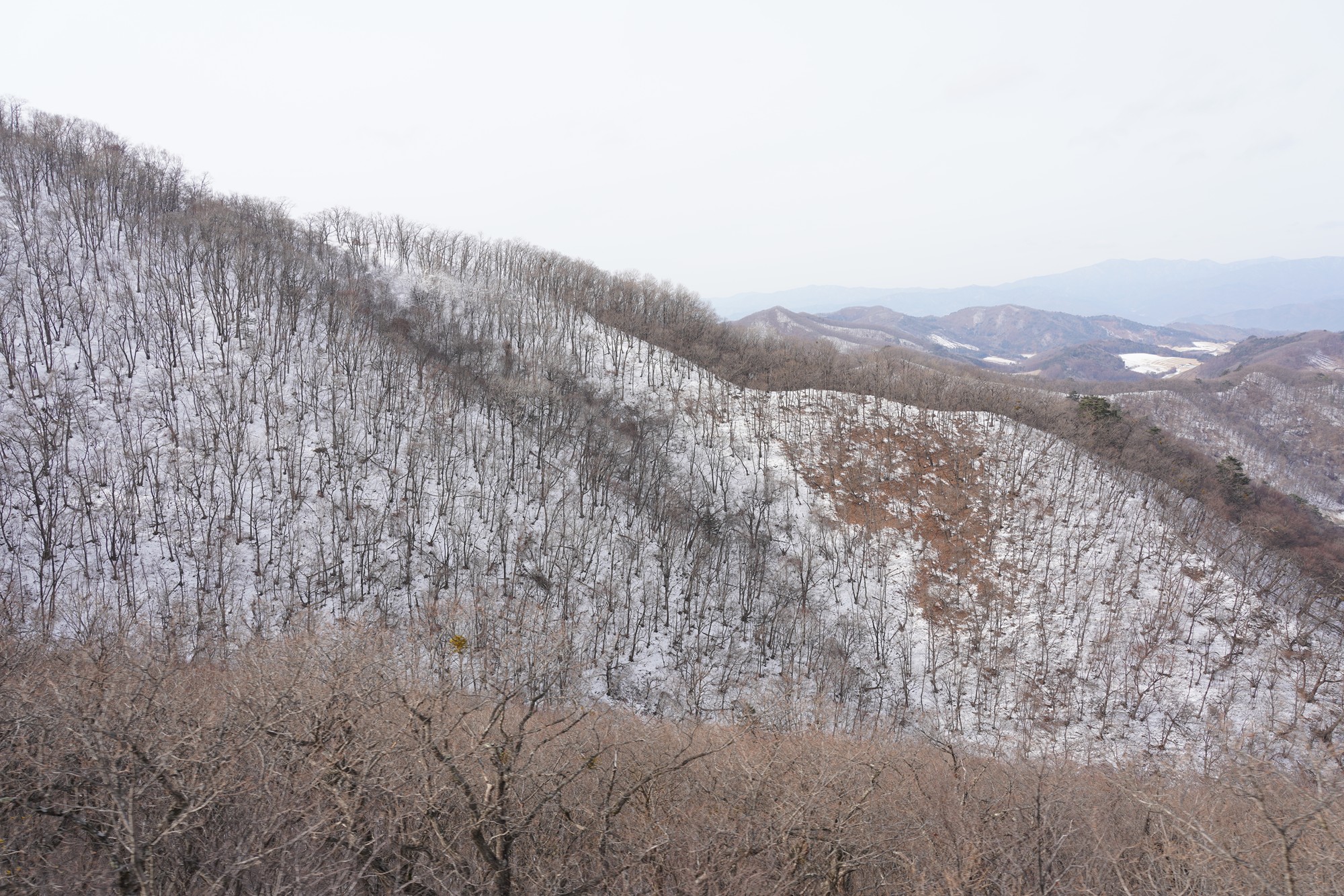 Daegwallyeong 2 (16)
