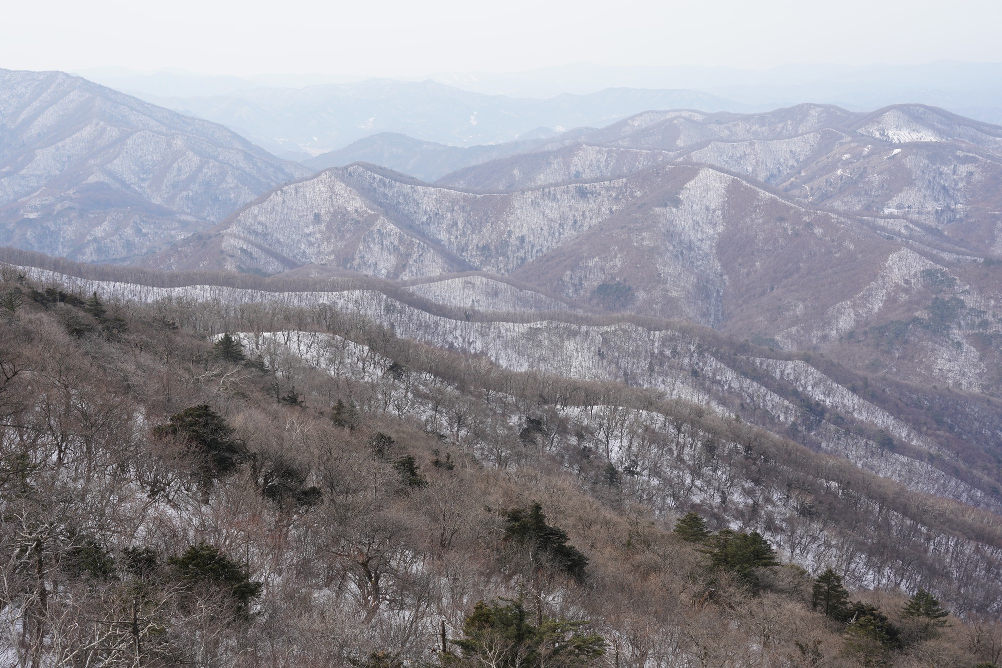Daegwallyeong 2 (19)