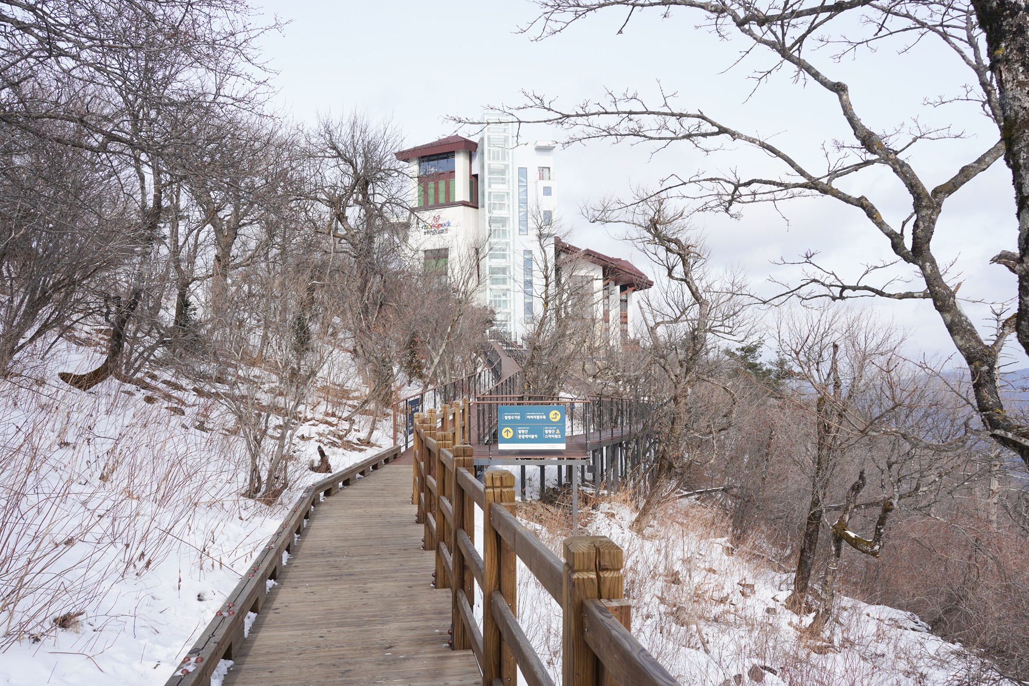 Daegwallyeong 2 (28-1)