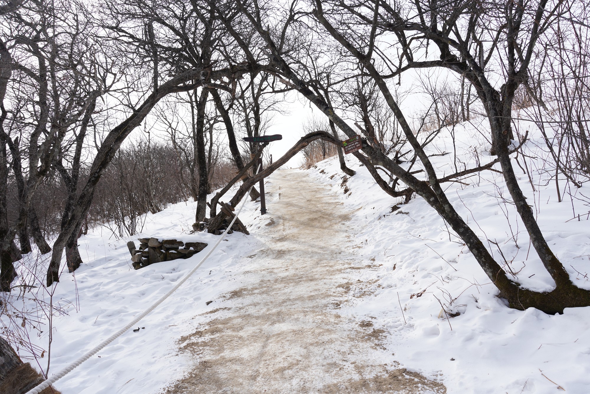 Daegwallyeong 2 (40)