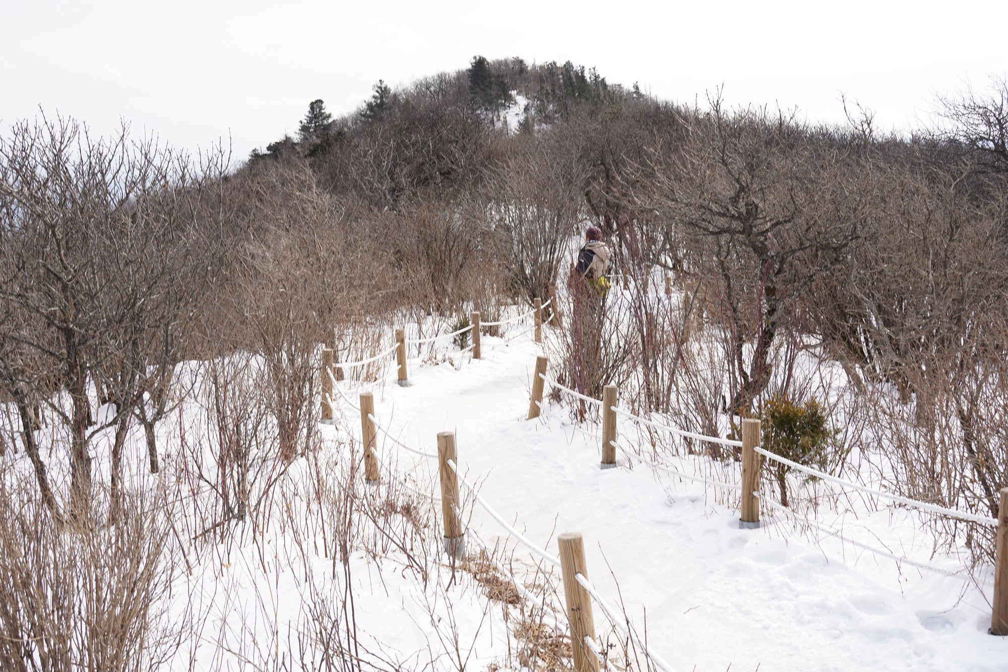 Daegwallyeong 2 (44)
