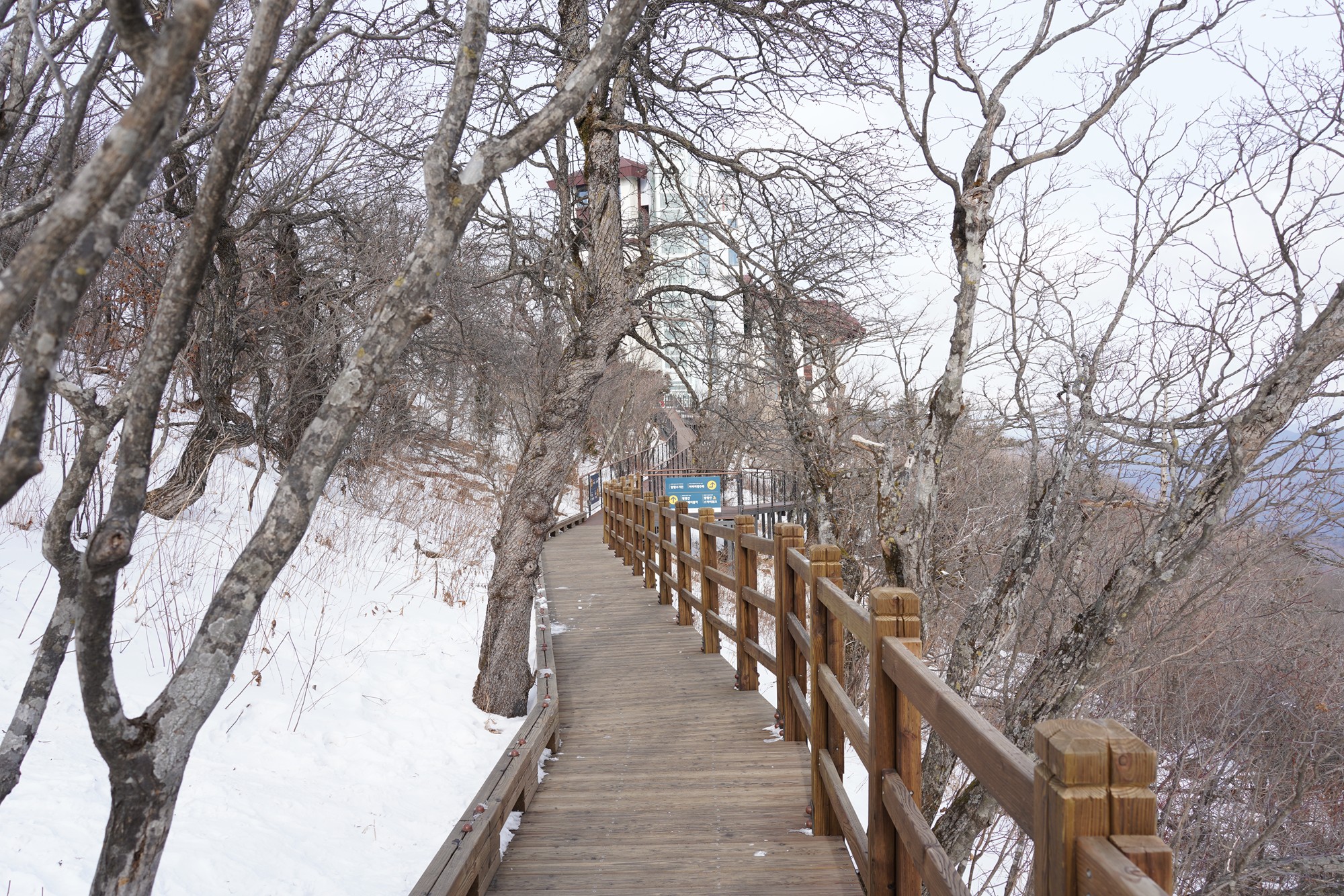 Daegwallyeong 2 (45)
