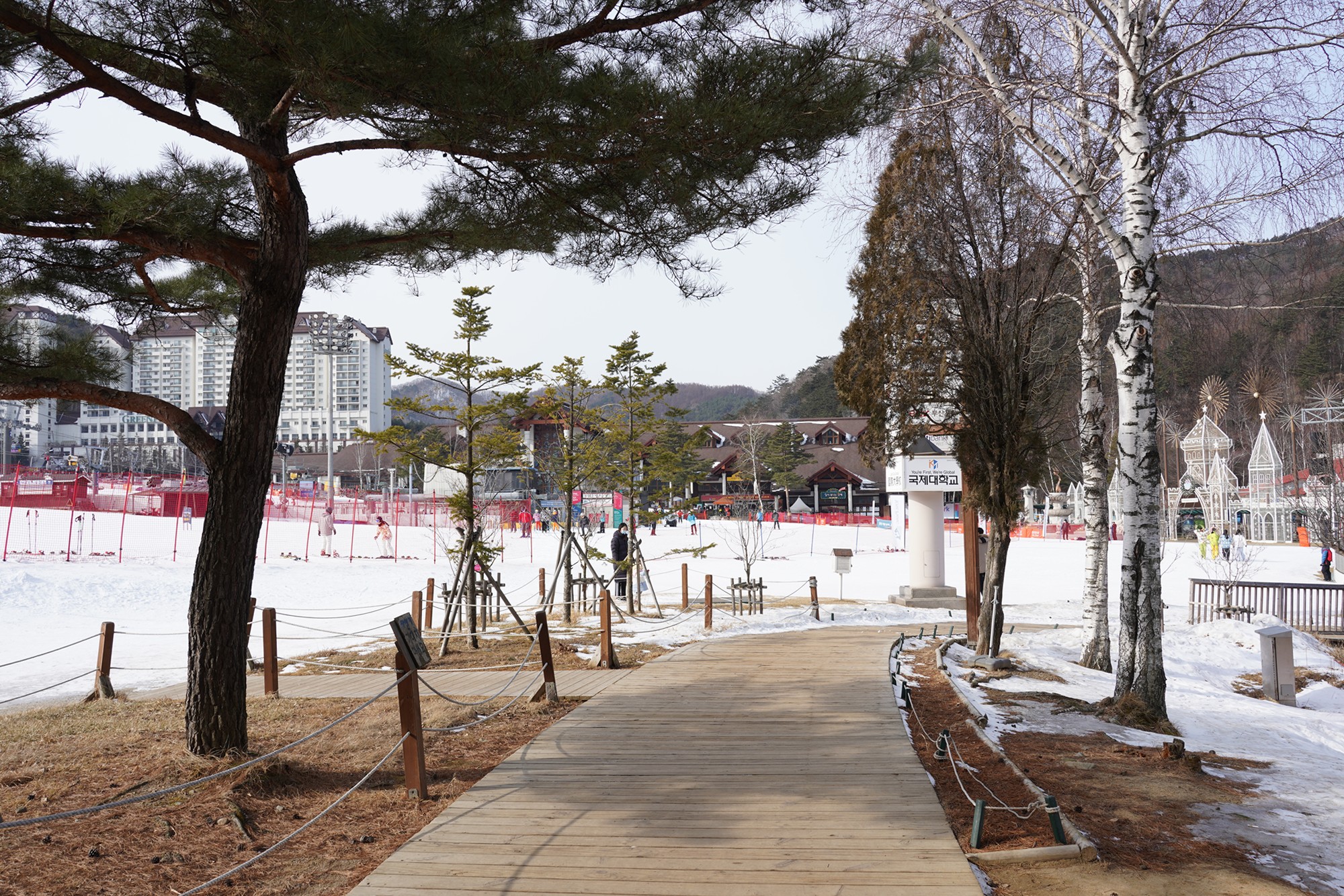 Daegwallyeong 2 (5)