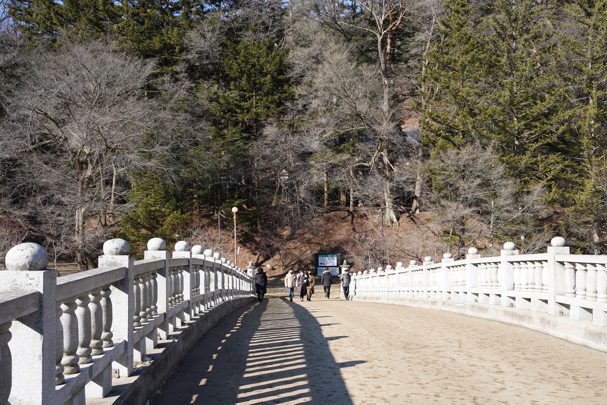 Daegwallyeong 3 (2)