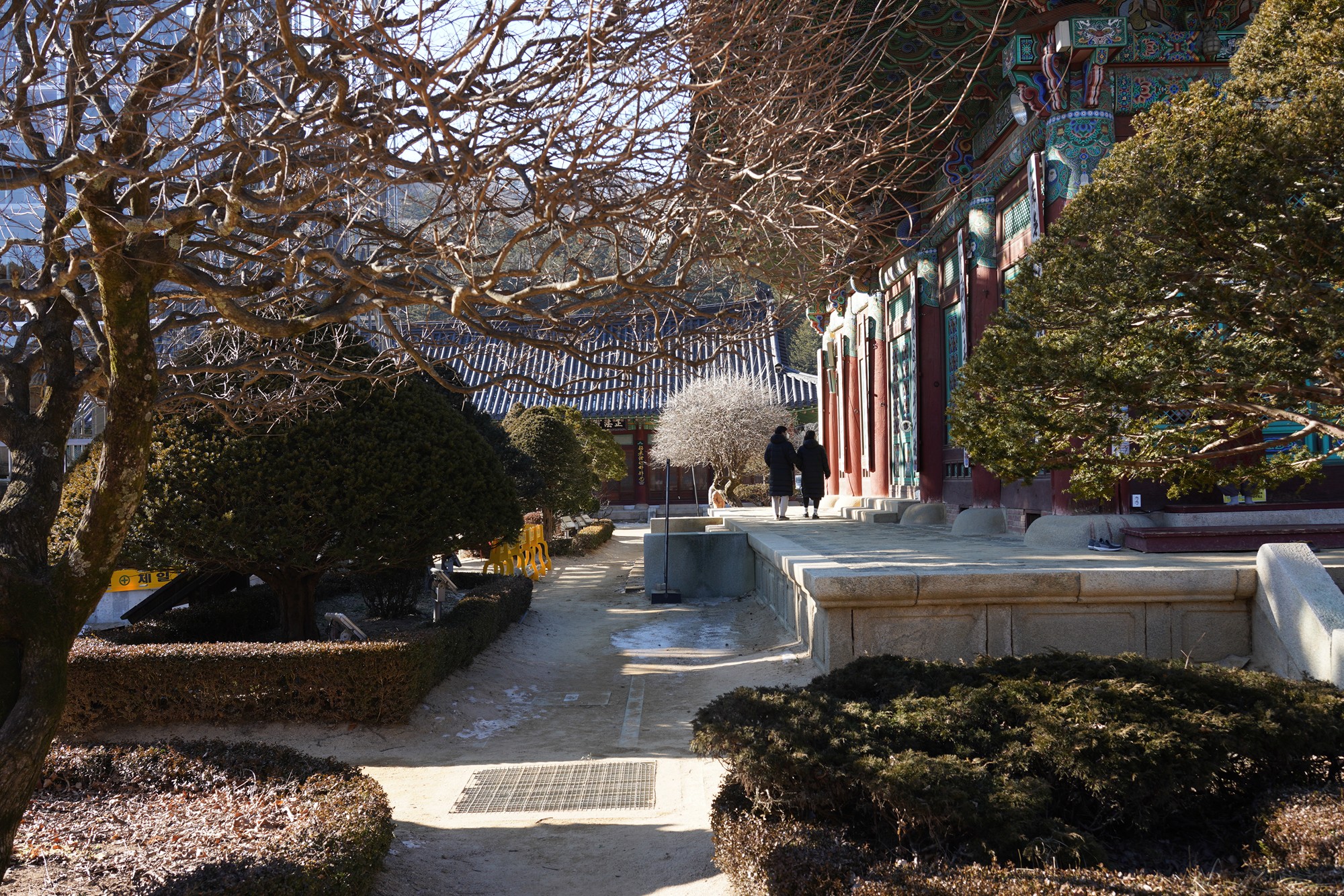 Daegwallyeong 3 (25)