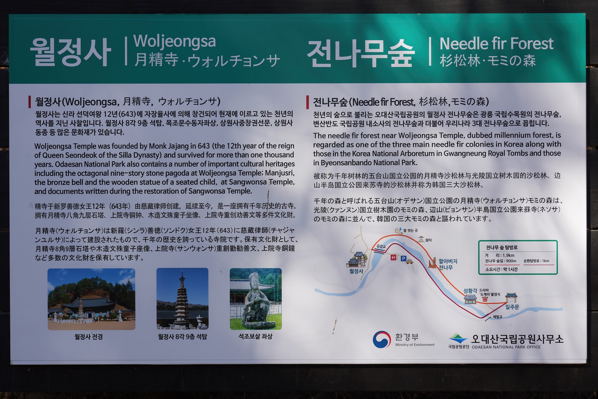 Daegwallyeong 3 (3)