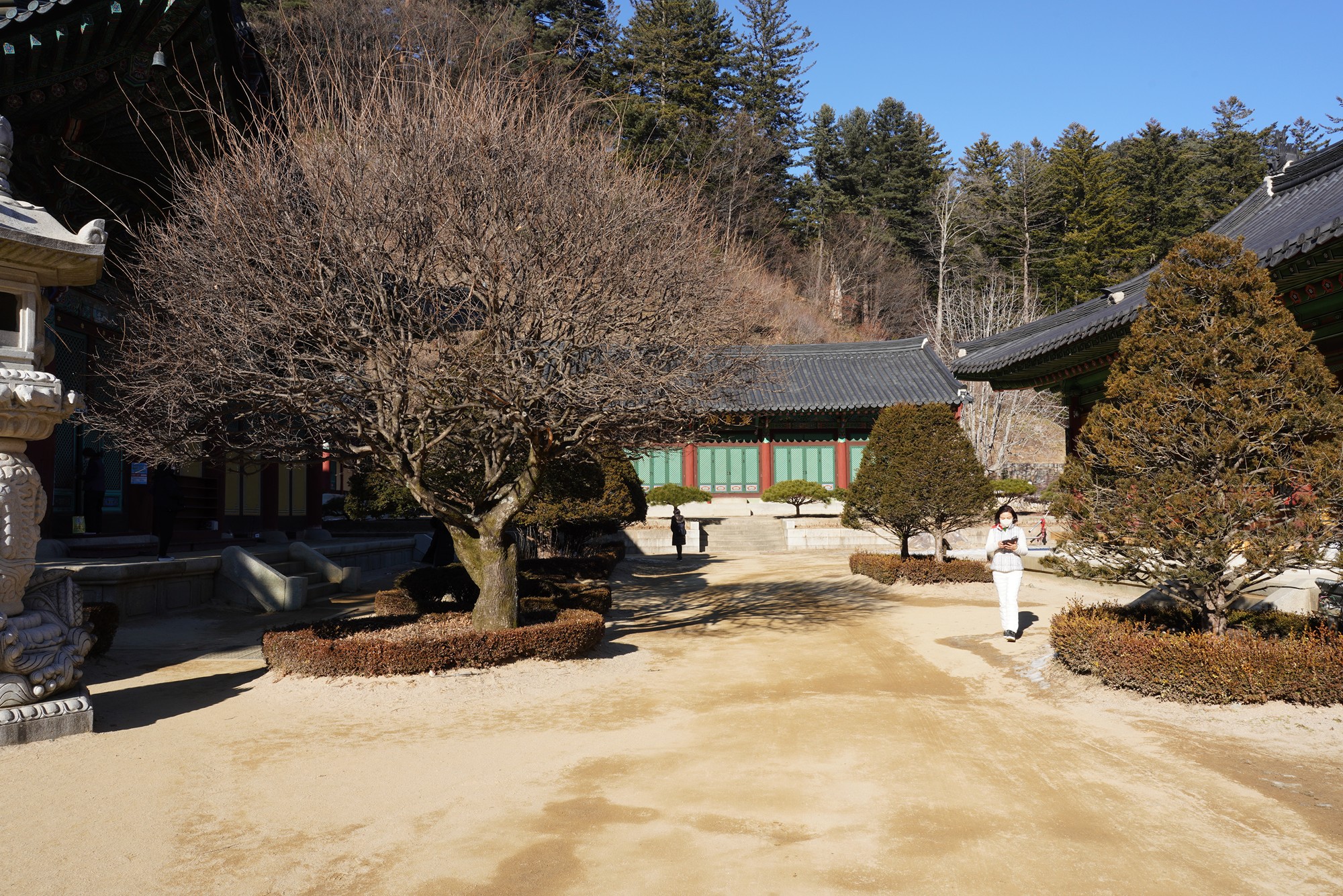 Daegwallyeong 3 (37)