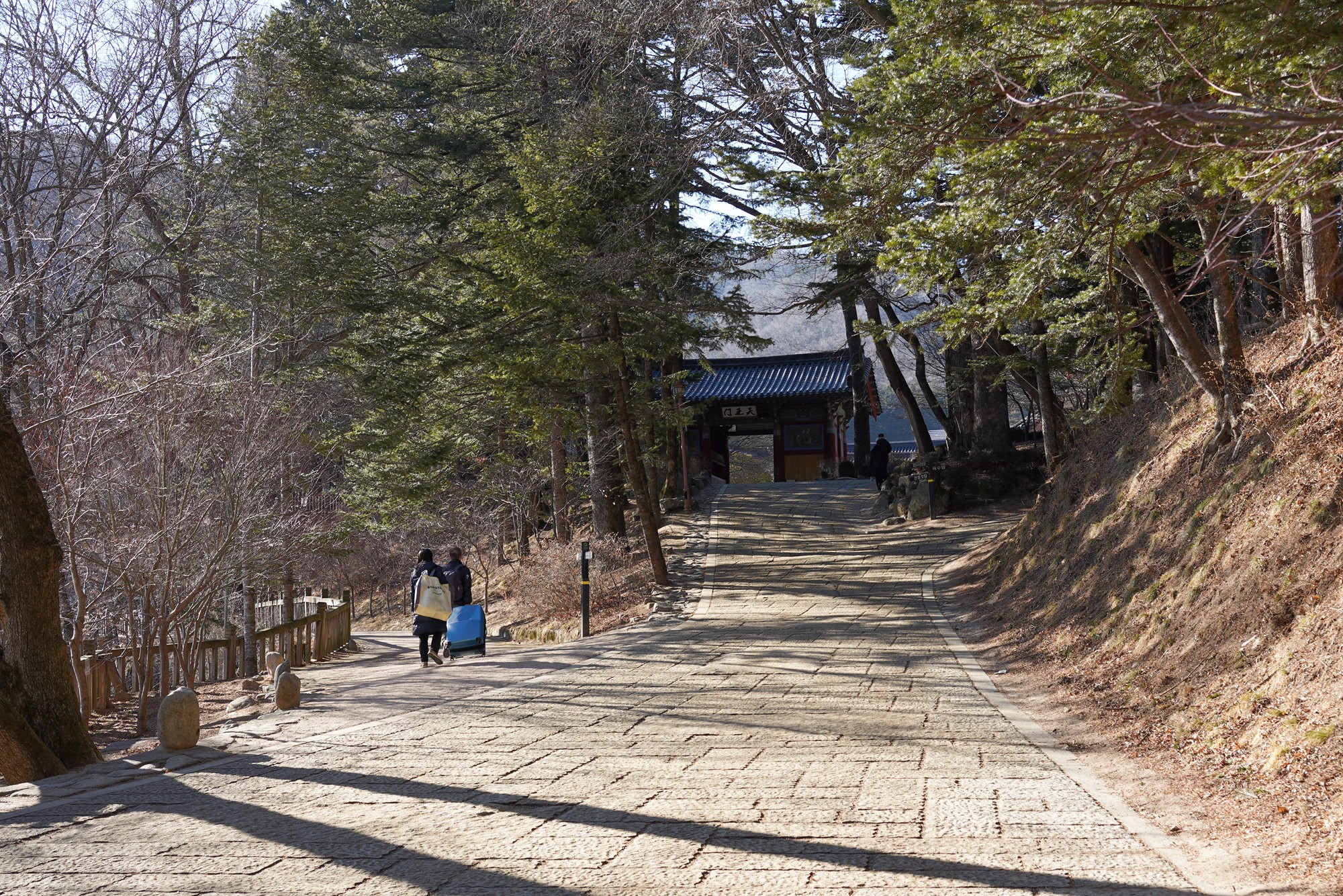 Daegwallyeong 3 (4)