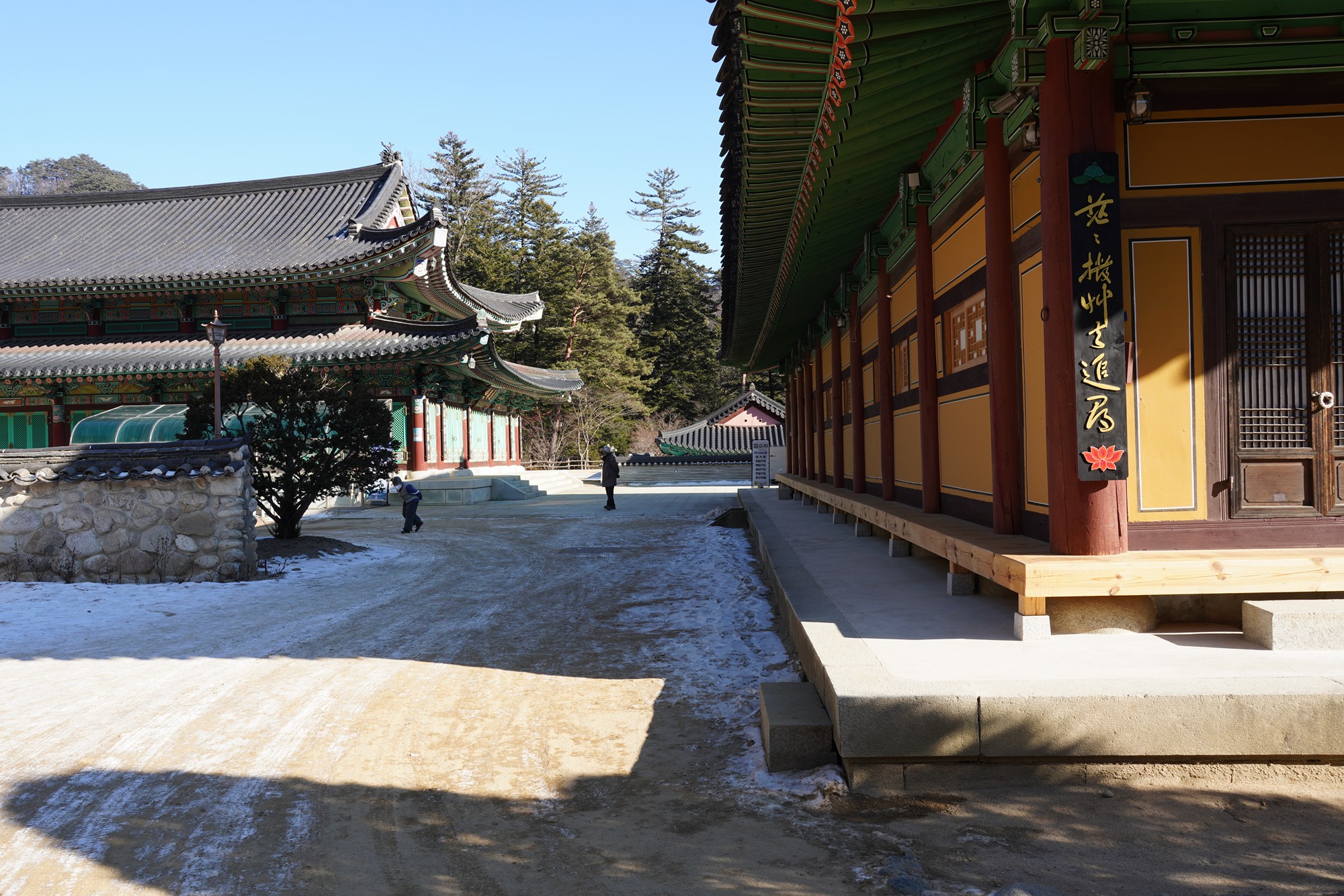 Daegwallyeong 3 (42)