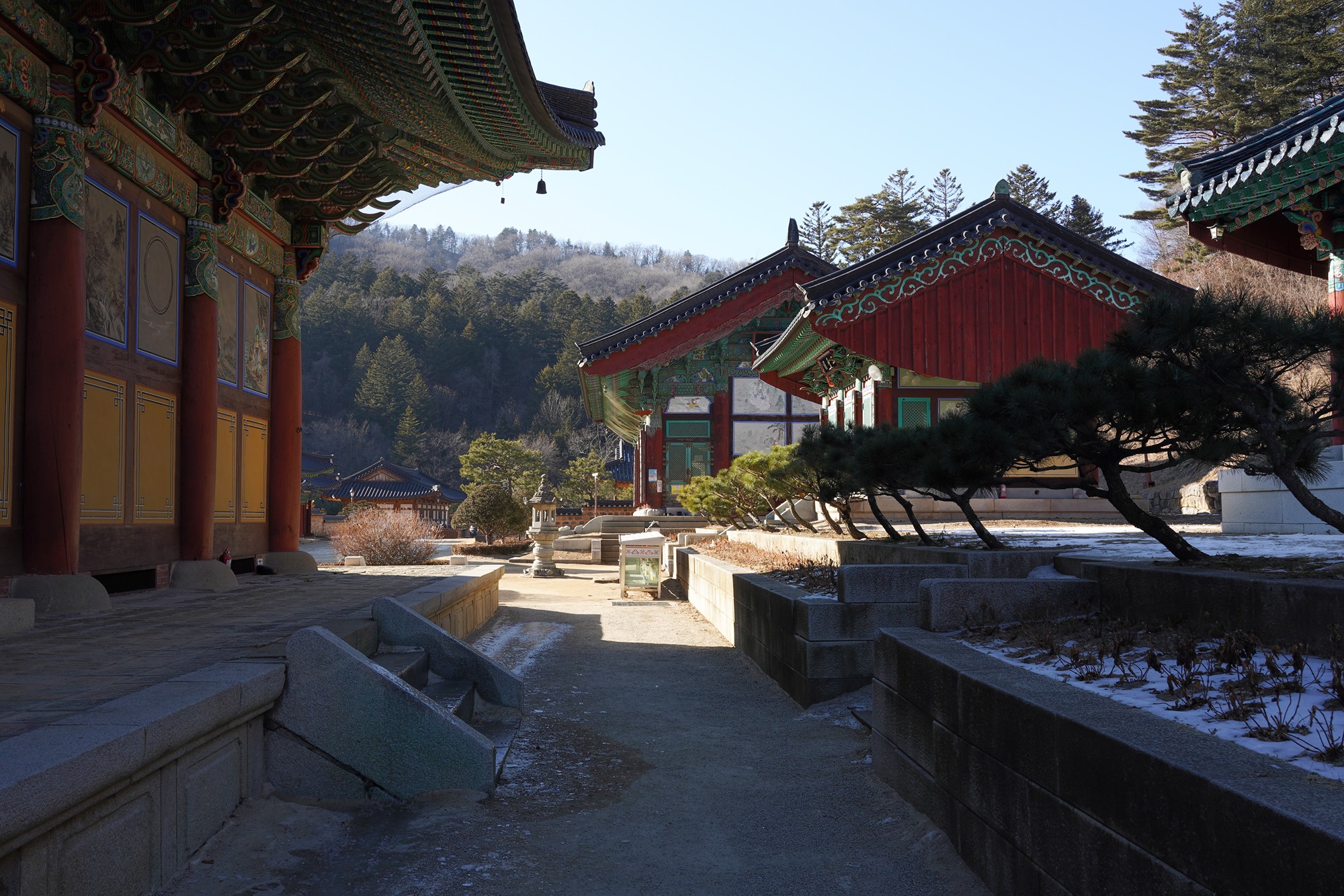 Daegwallyeong 3 (49)