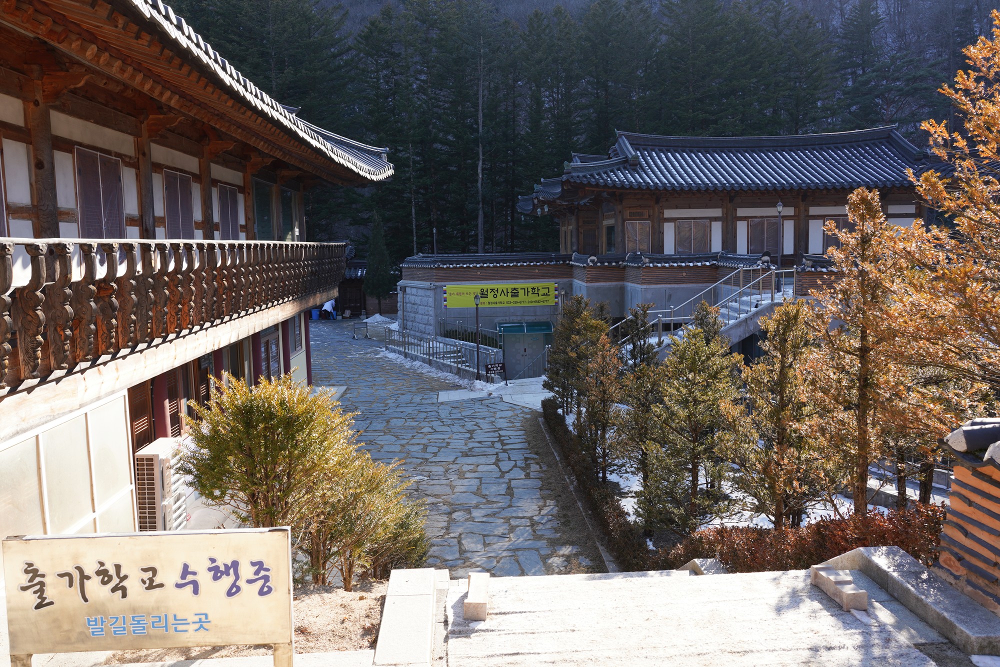 Daegwallyeong 3 (56)