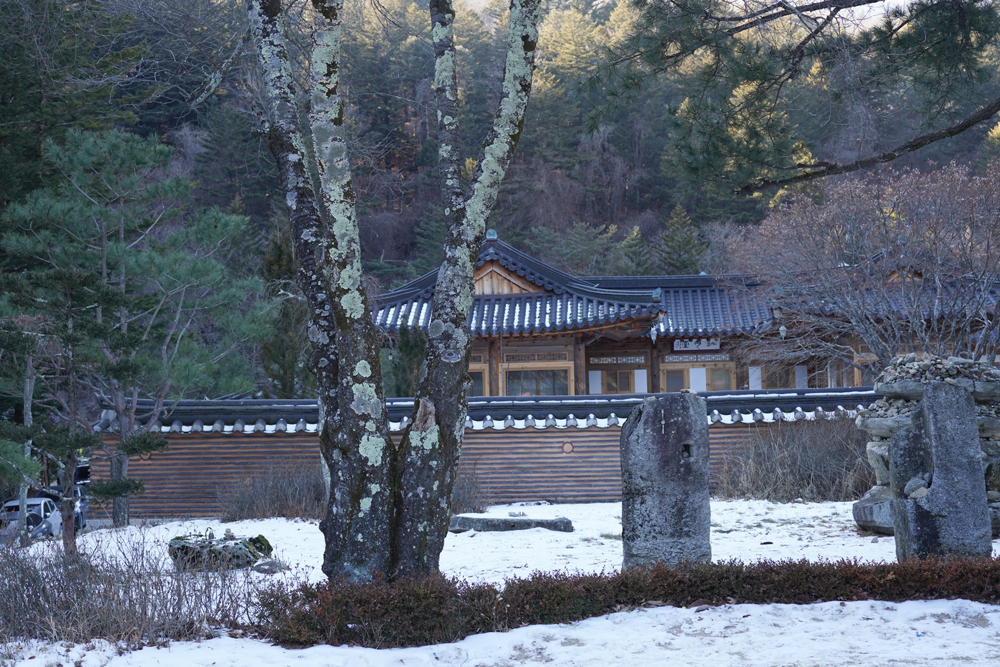 Daegwallyeong 3 (62)