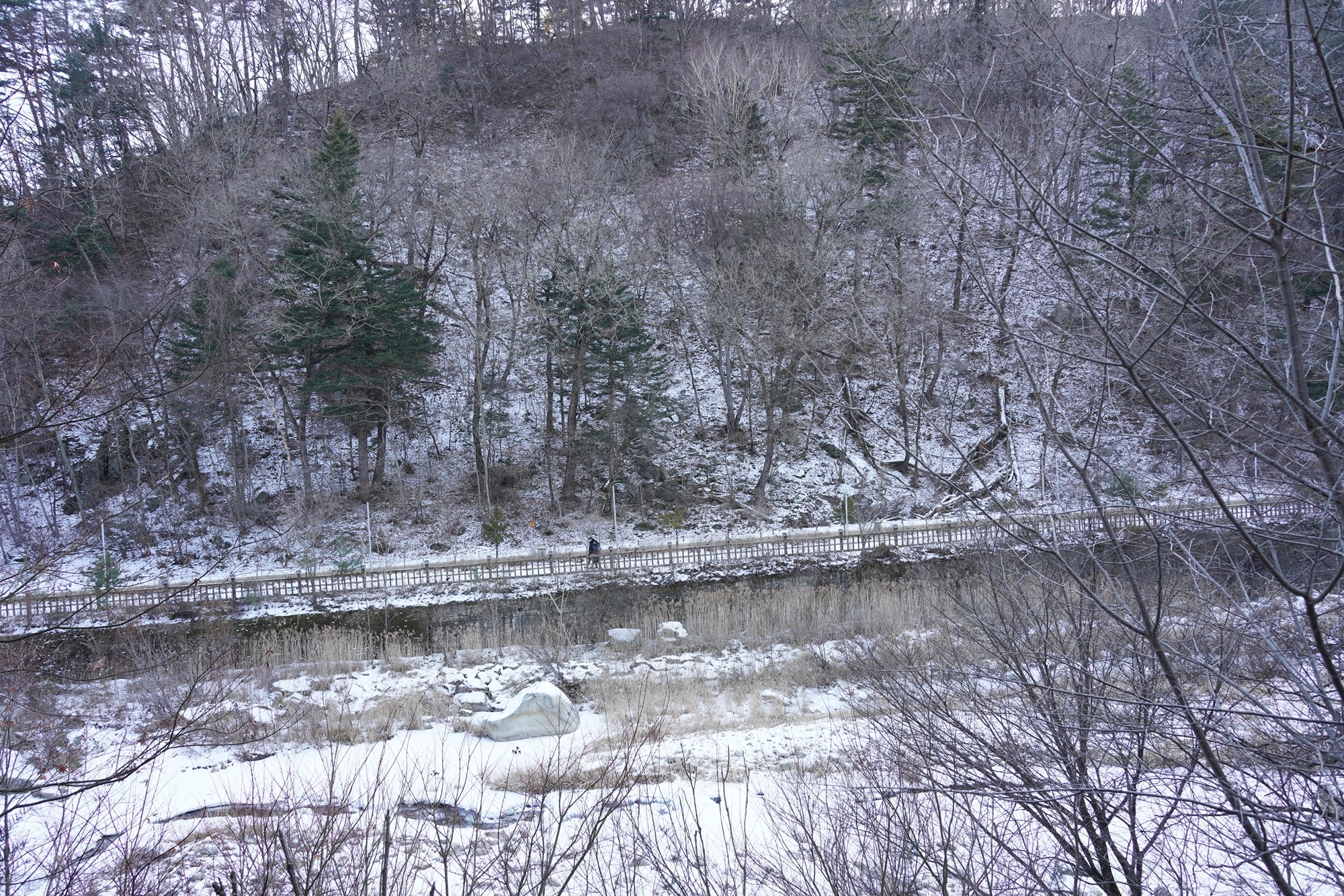 Daegwallyeong 3 (67)