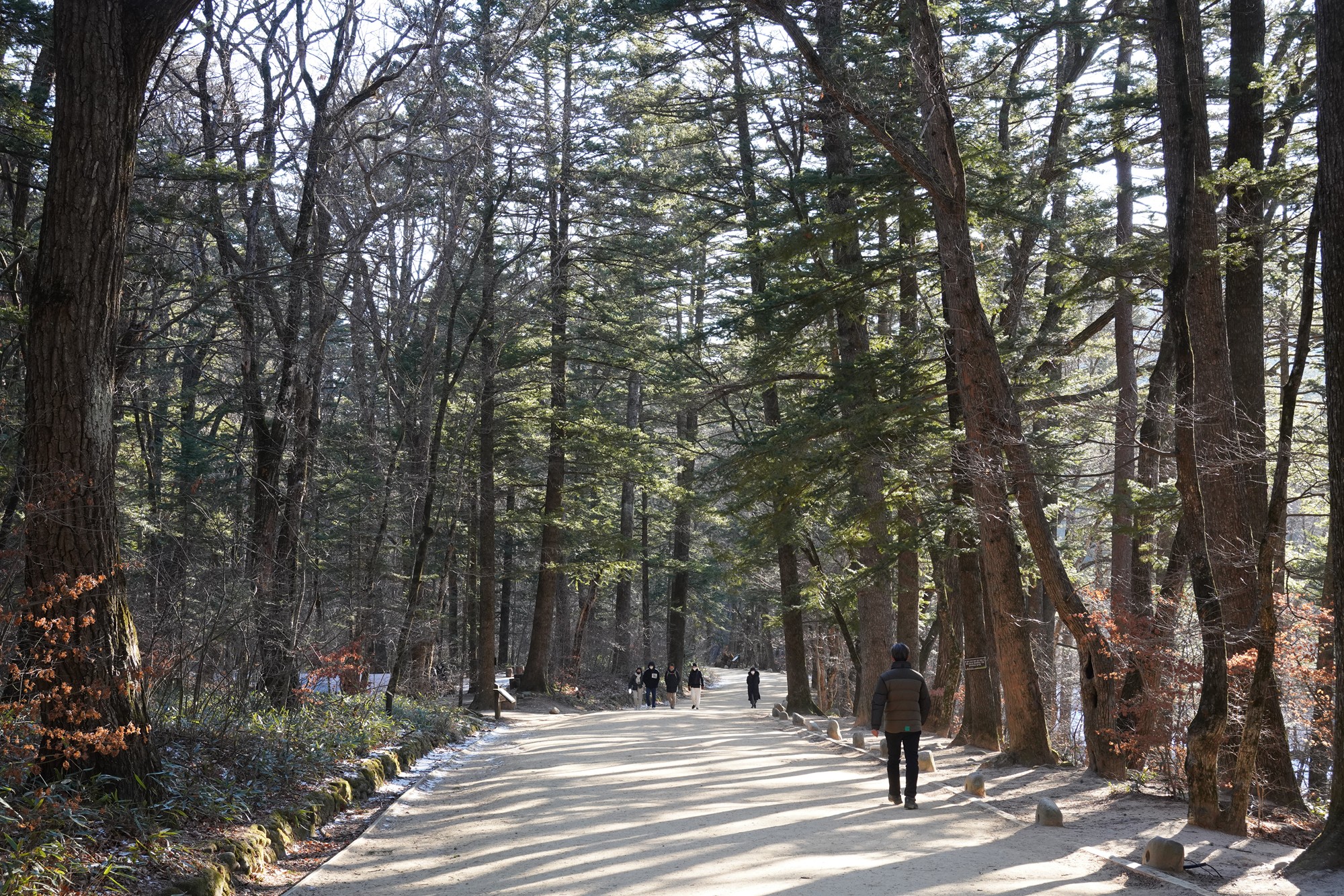 Daegwallyeong 3 (79)