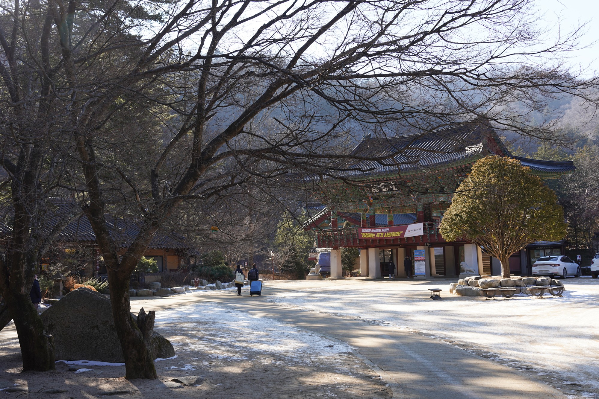 Daegwallyeong 3 (8)