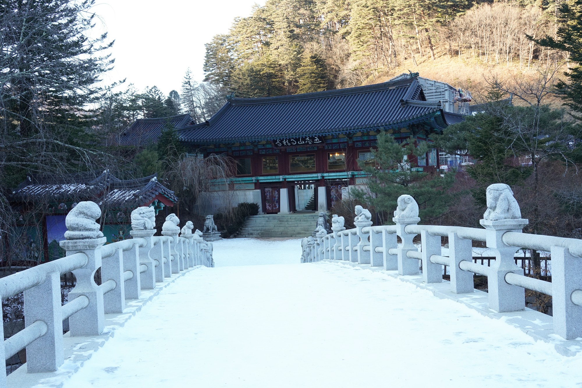 Daegwallyeong 3 (82)