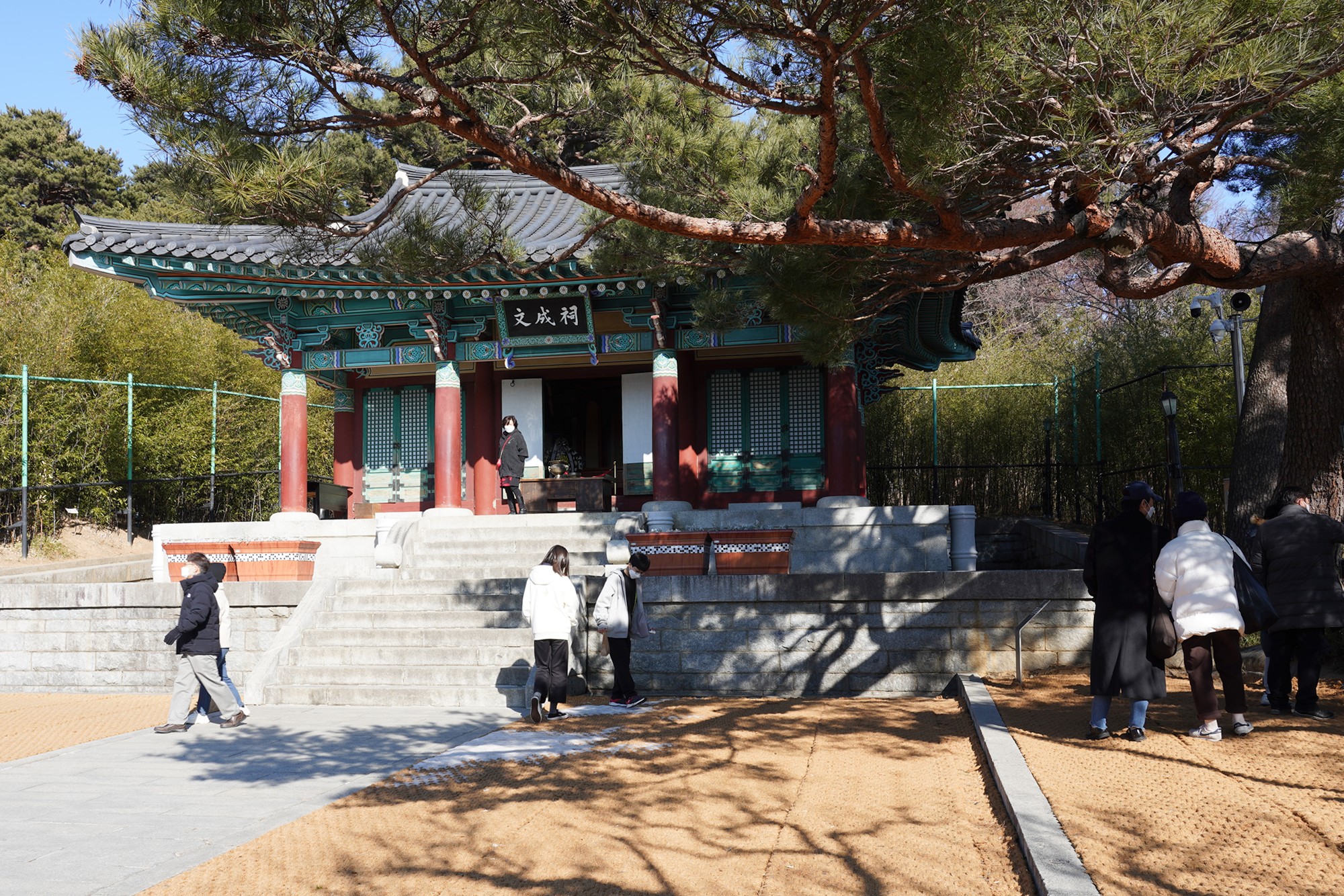 Gangneung 2 (17)