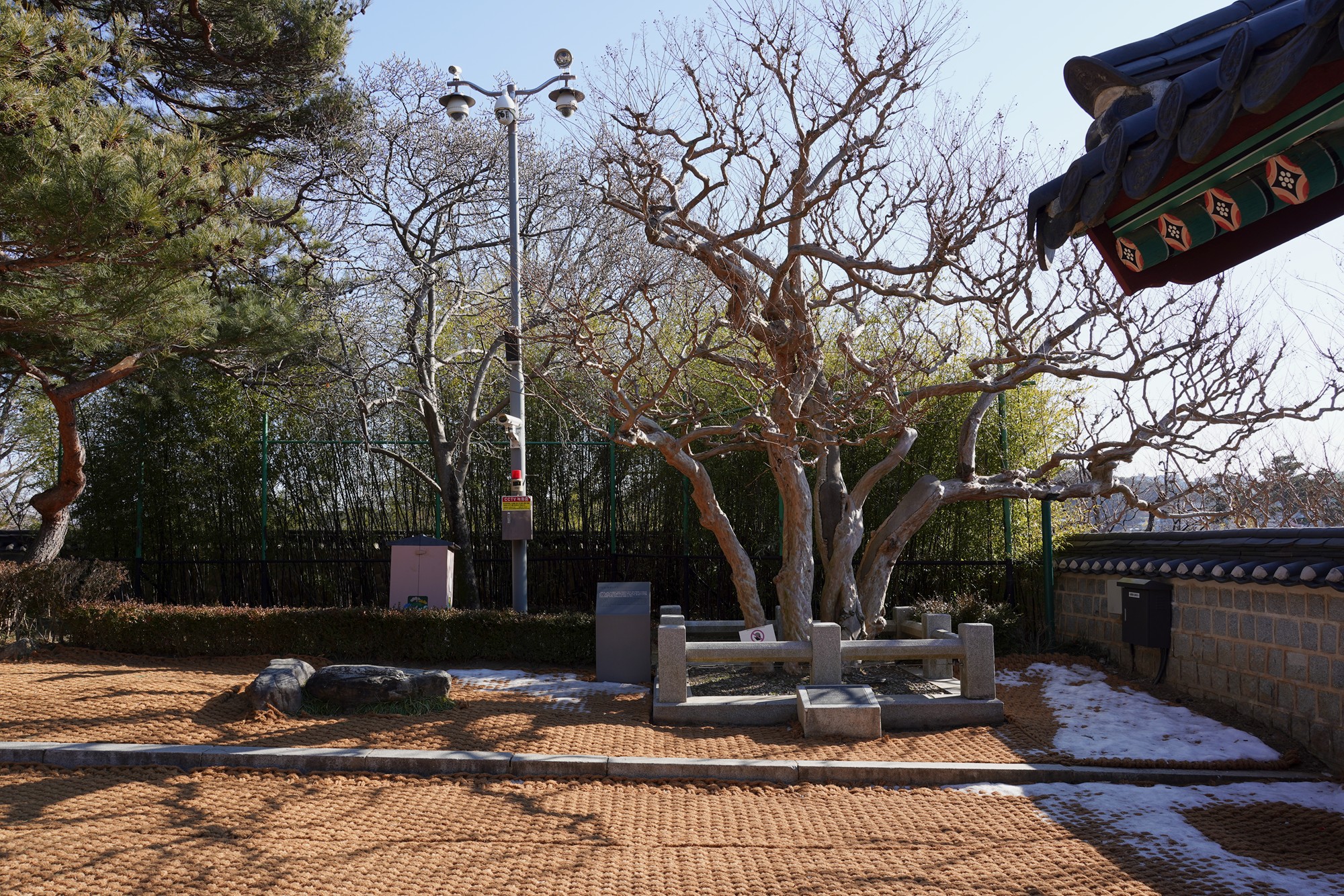 Gangneung 2 (18)