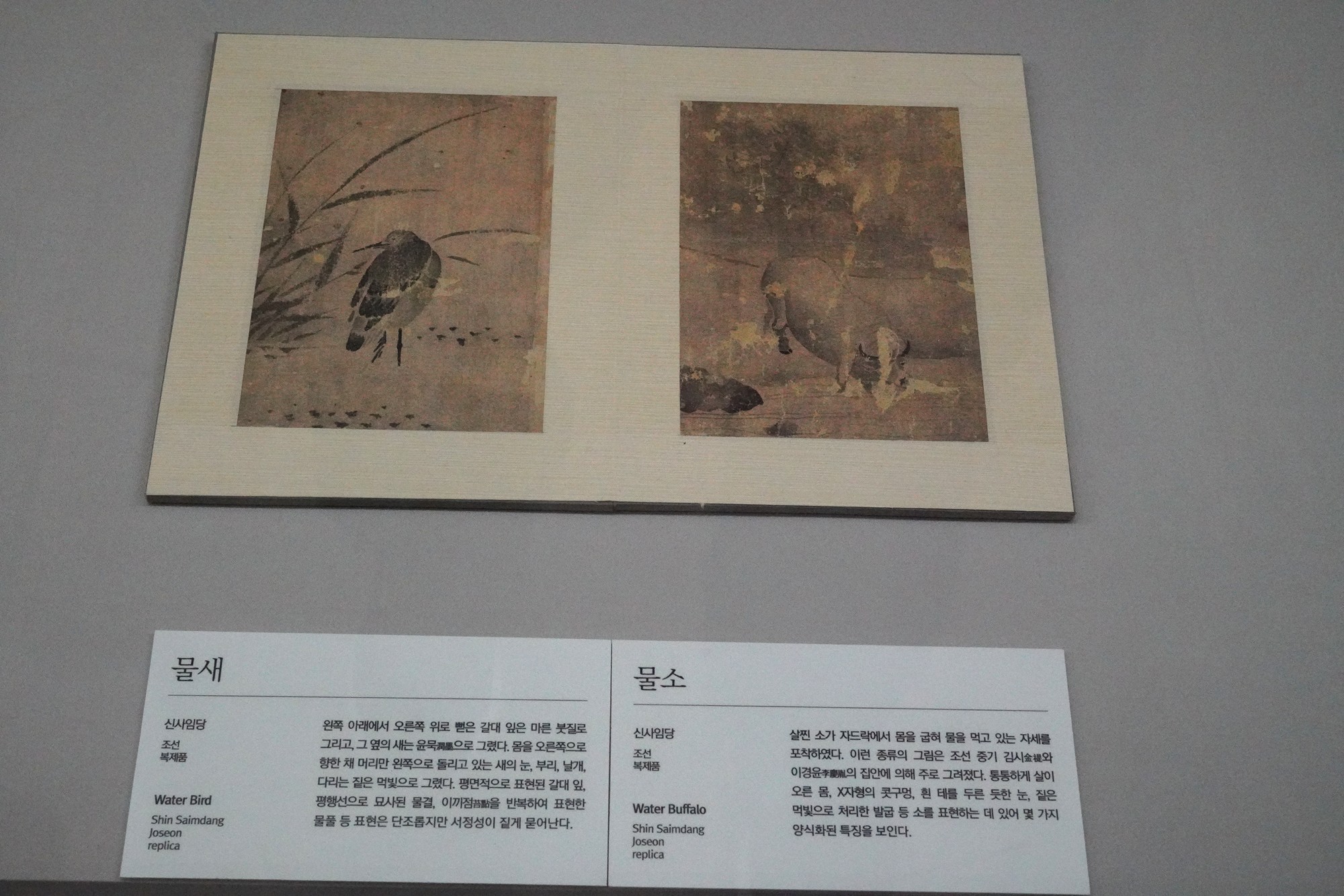 Gangneung 2 (49)